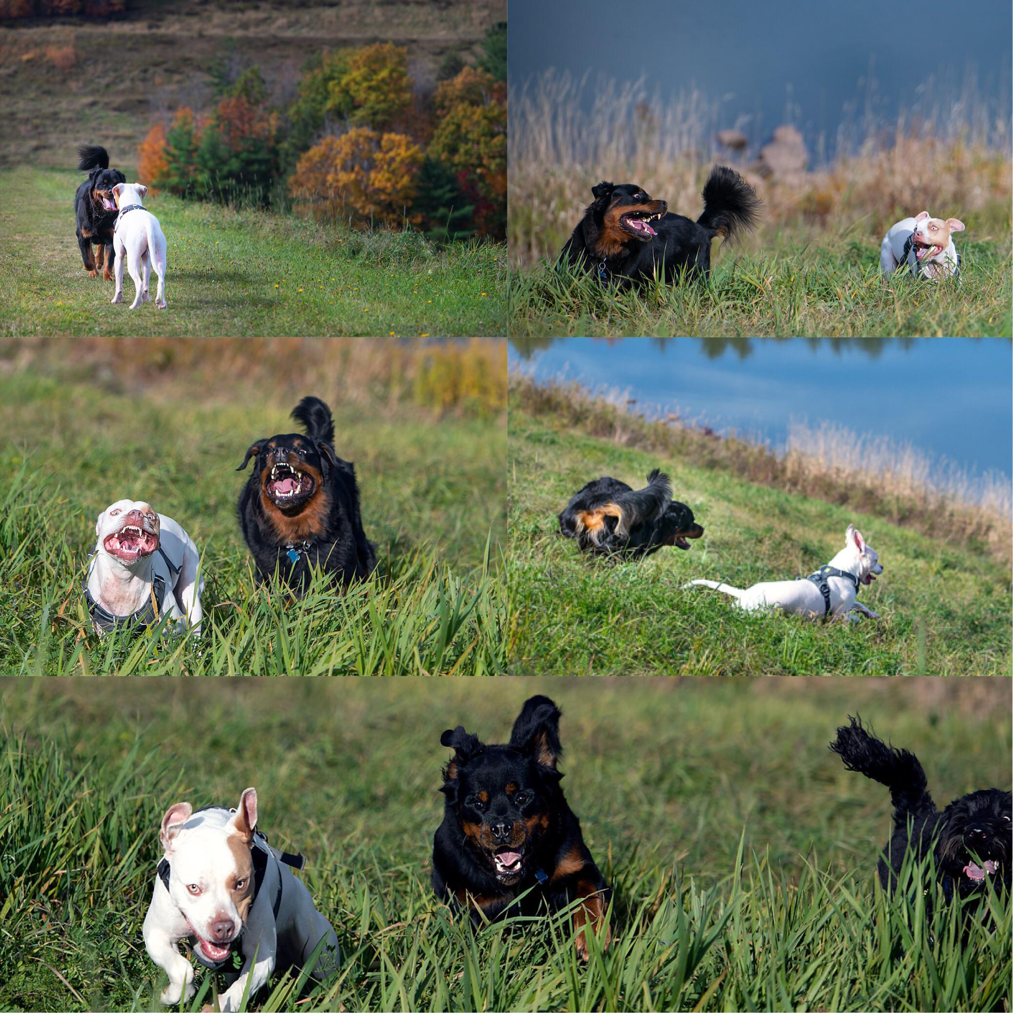 The Epic Meeting of Gus & Fletcher