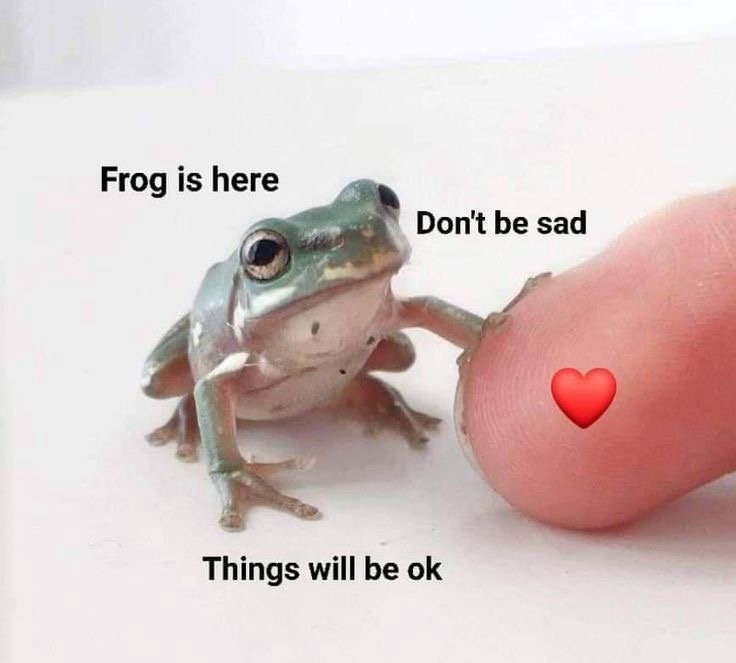 The Supportive Frog: Your New Best Friend