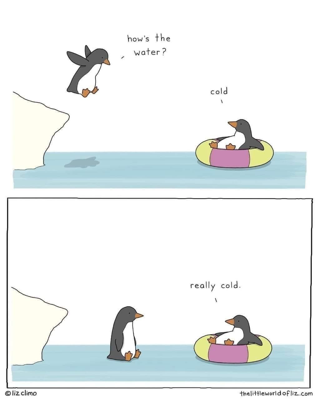 The Days Are Getting Colder and Colder!