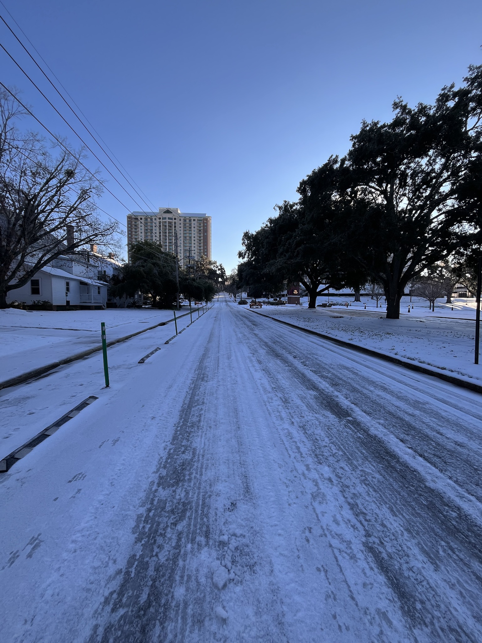 Surprise! It Snowed in Florida!