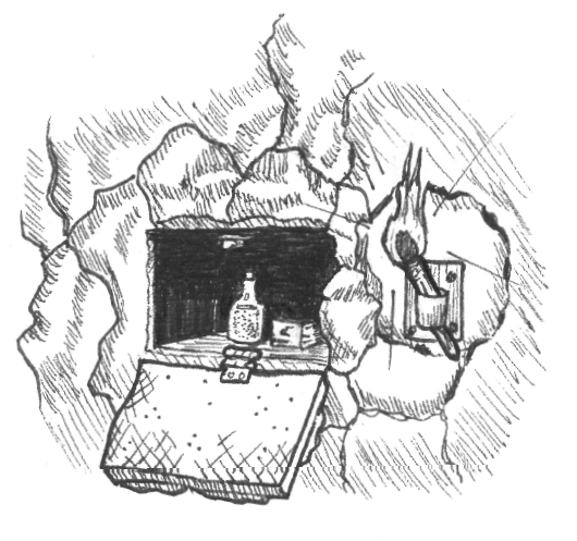 The Hidden Treasure Chest
