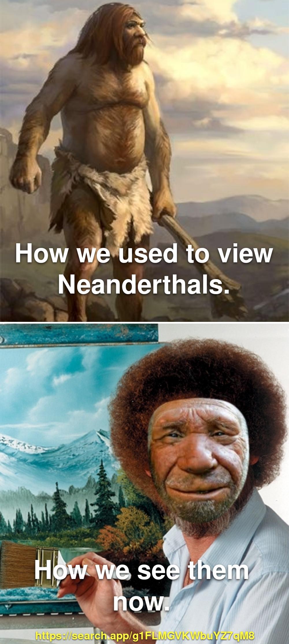 My First Anthropology Meme: The Face-Cropping Adventure!