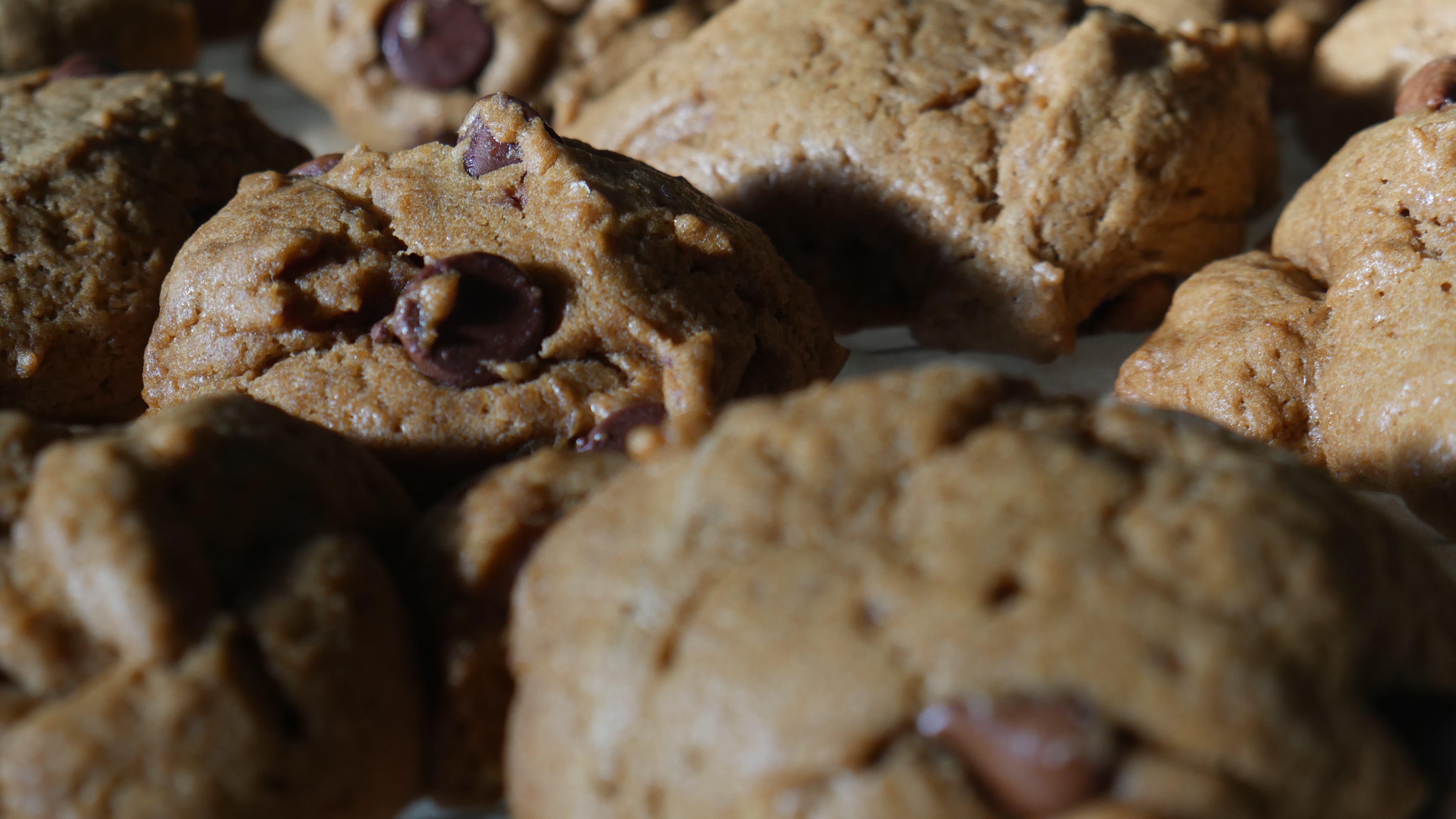 Today's Batch of Delicious Cookies: A Sweet Treat Showcase