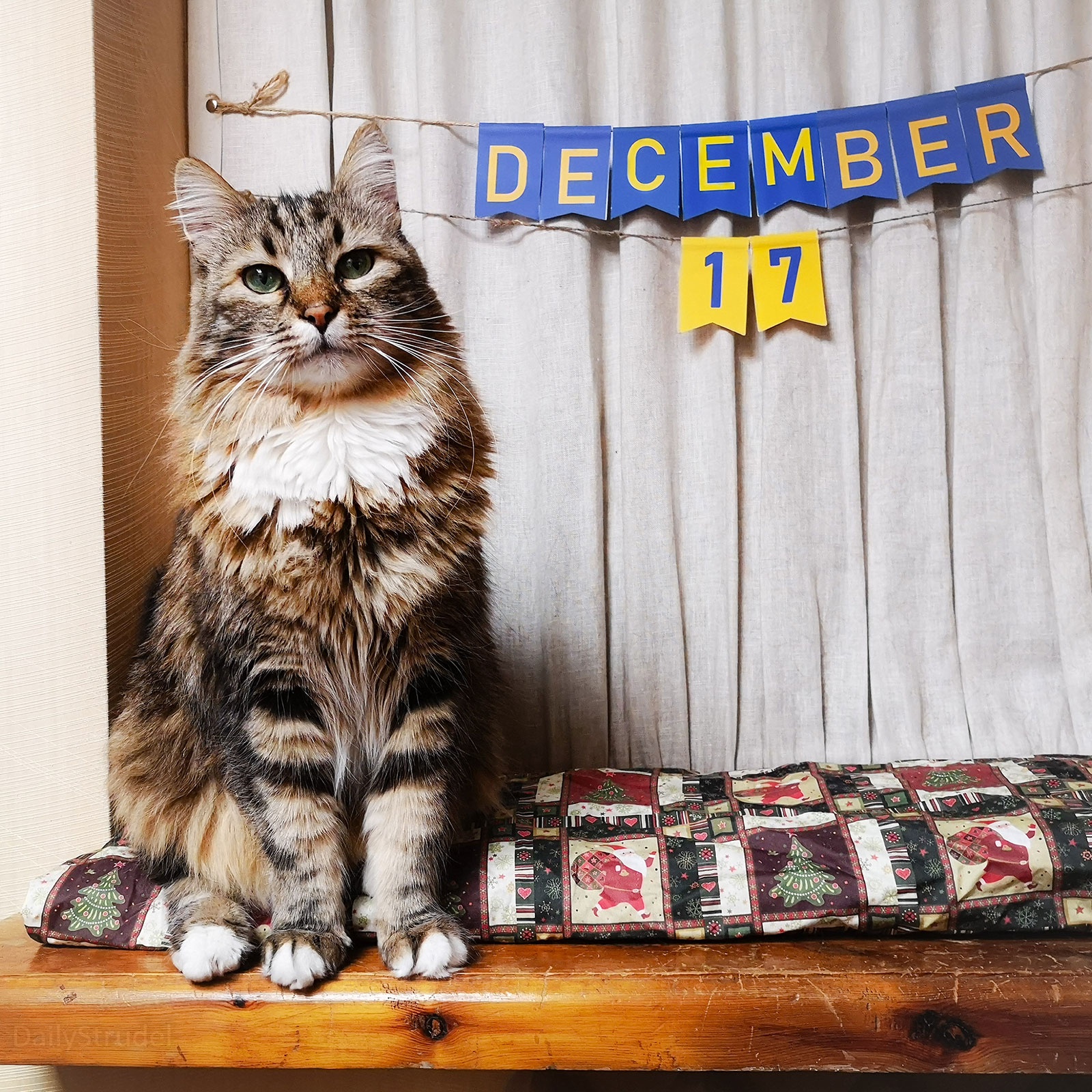 Mark Your Calendars for December 17