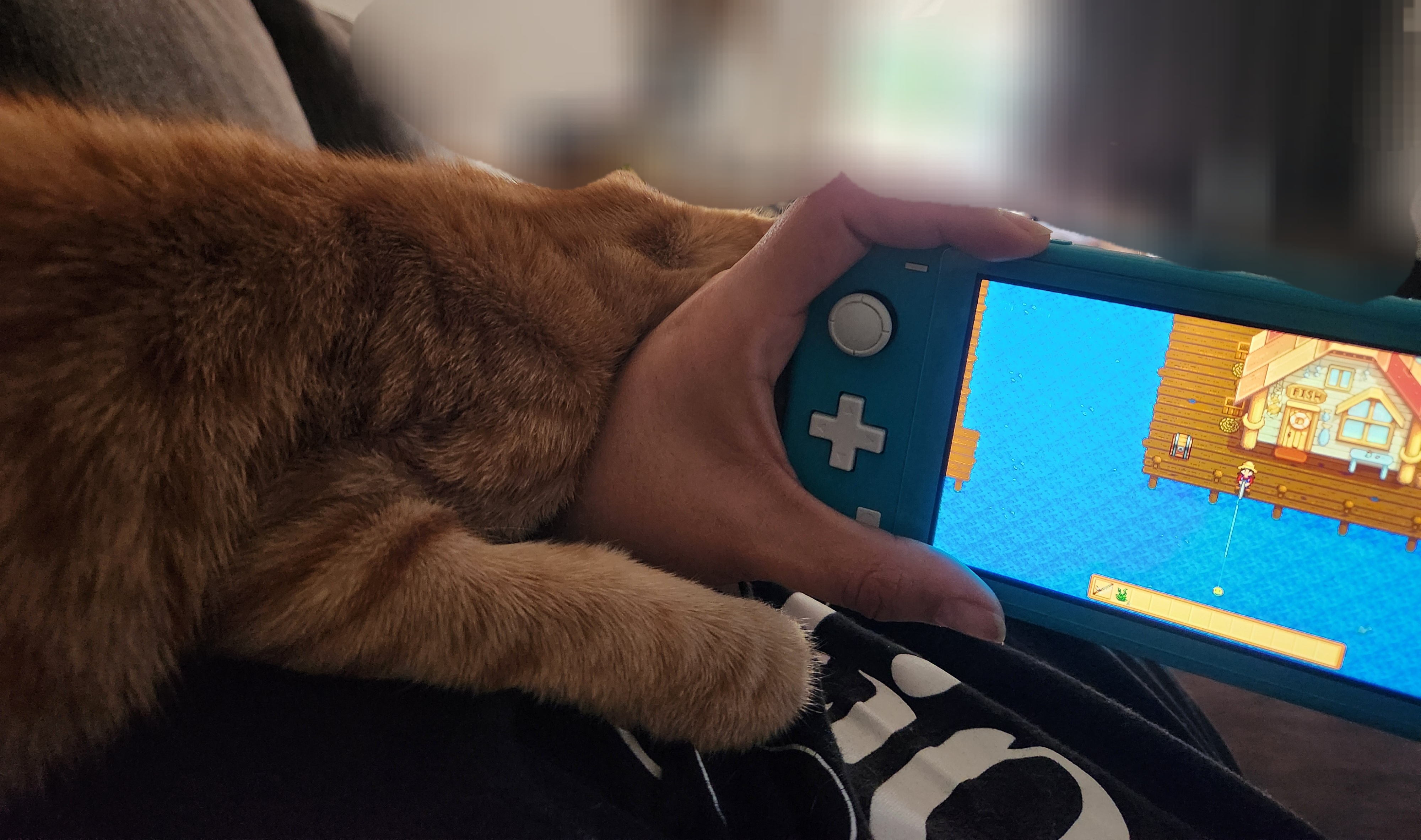 Just Your Average Cat Furniture, Nothing to See Here