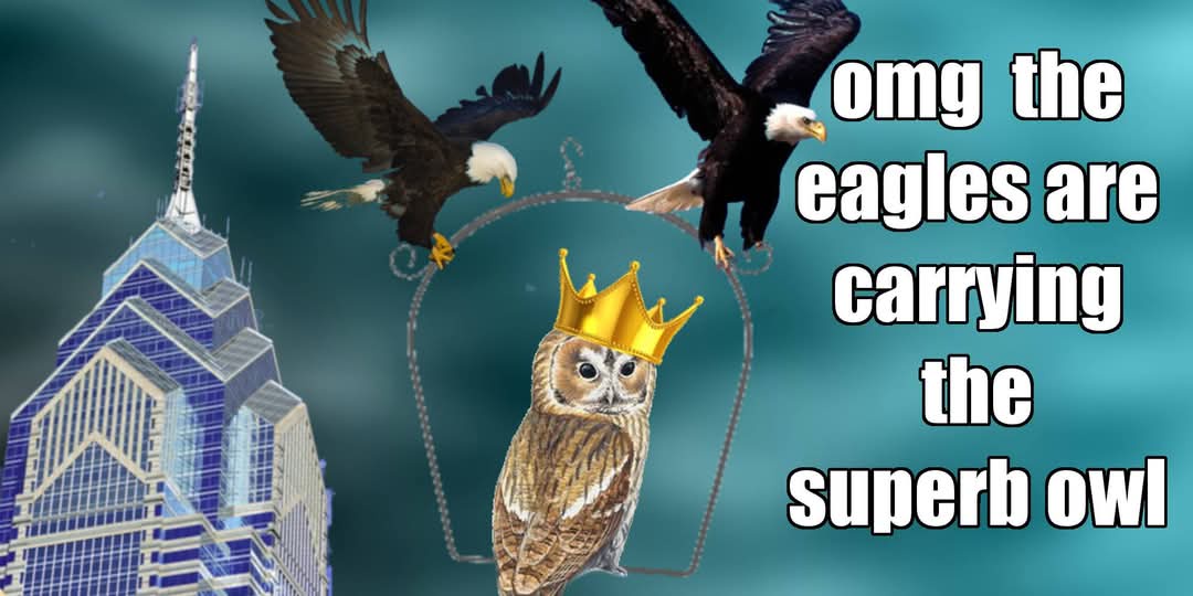 The eagles soaring with the legendary superb owl