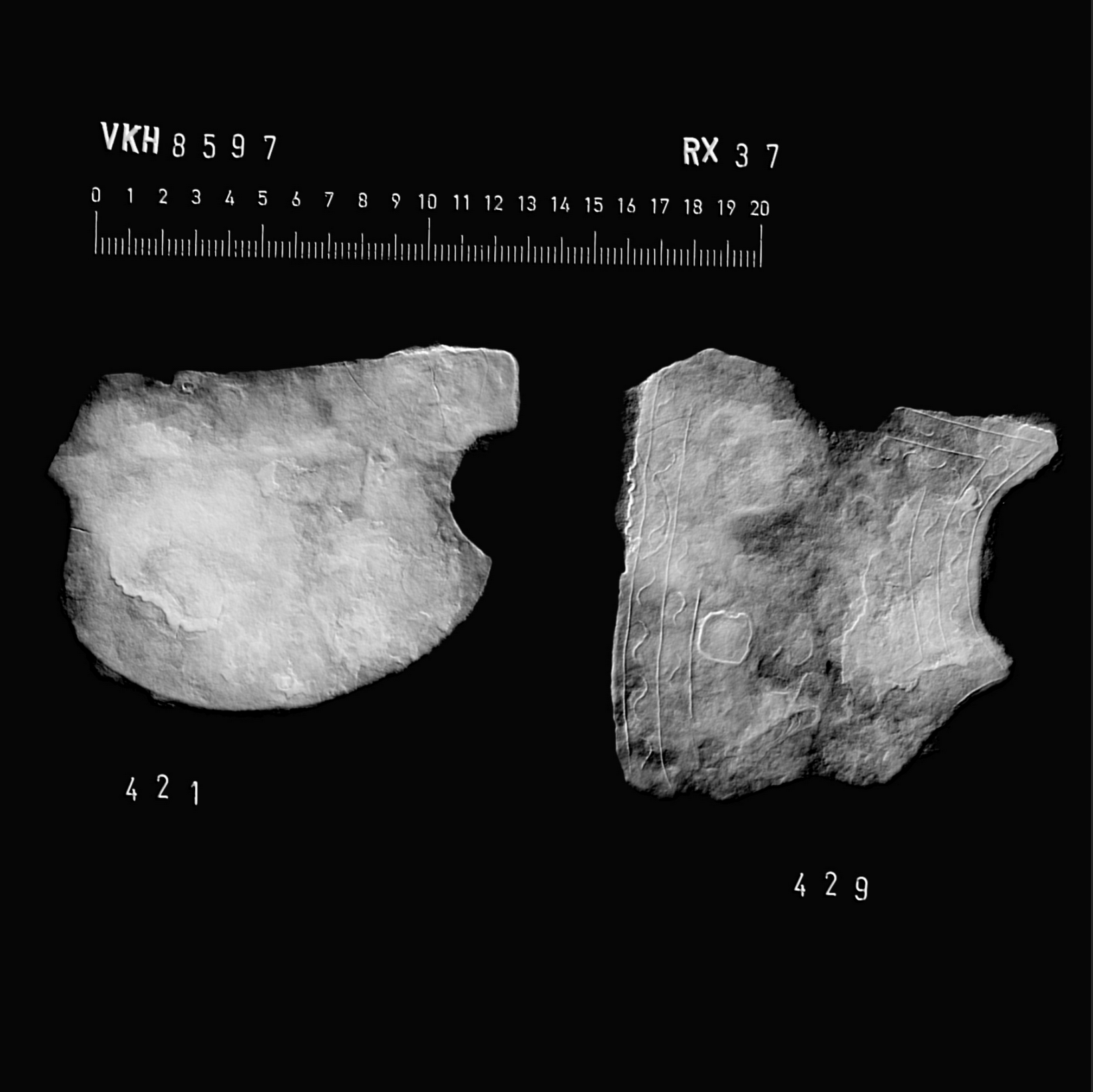 Exciting Discovery: Roman Helmet Fragments Unearthed at Læsning Søndermark's Weapon Sacrifice Site