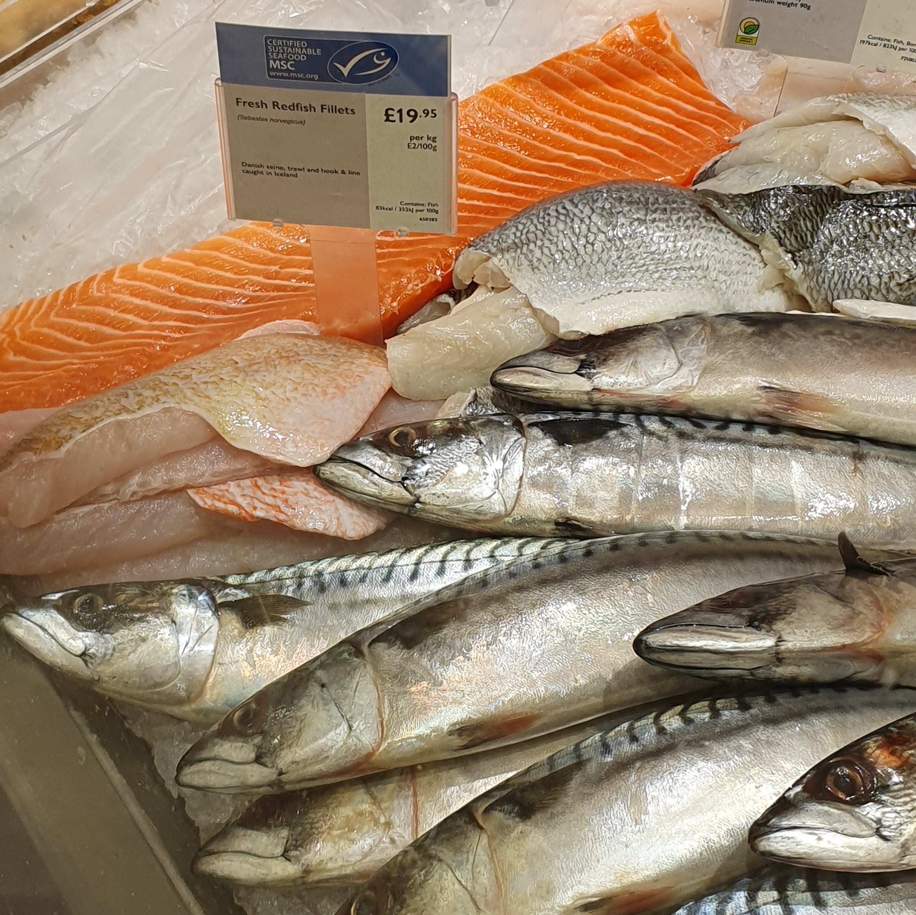 Is this salmon safe for sushi, or will it unleash a horror show of parasites? 😂