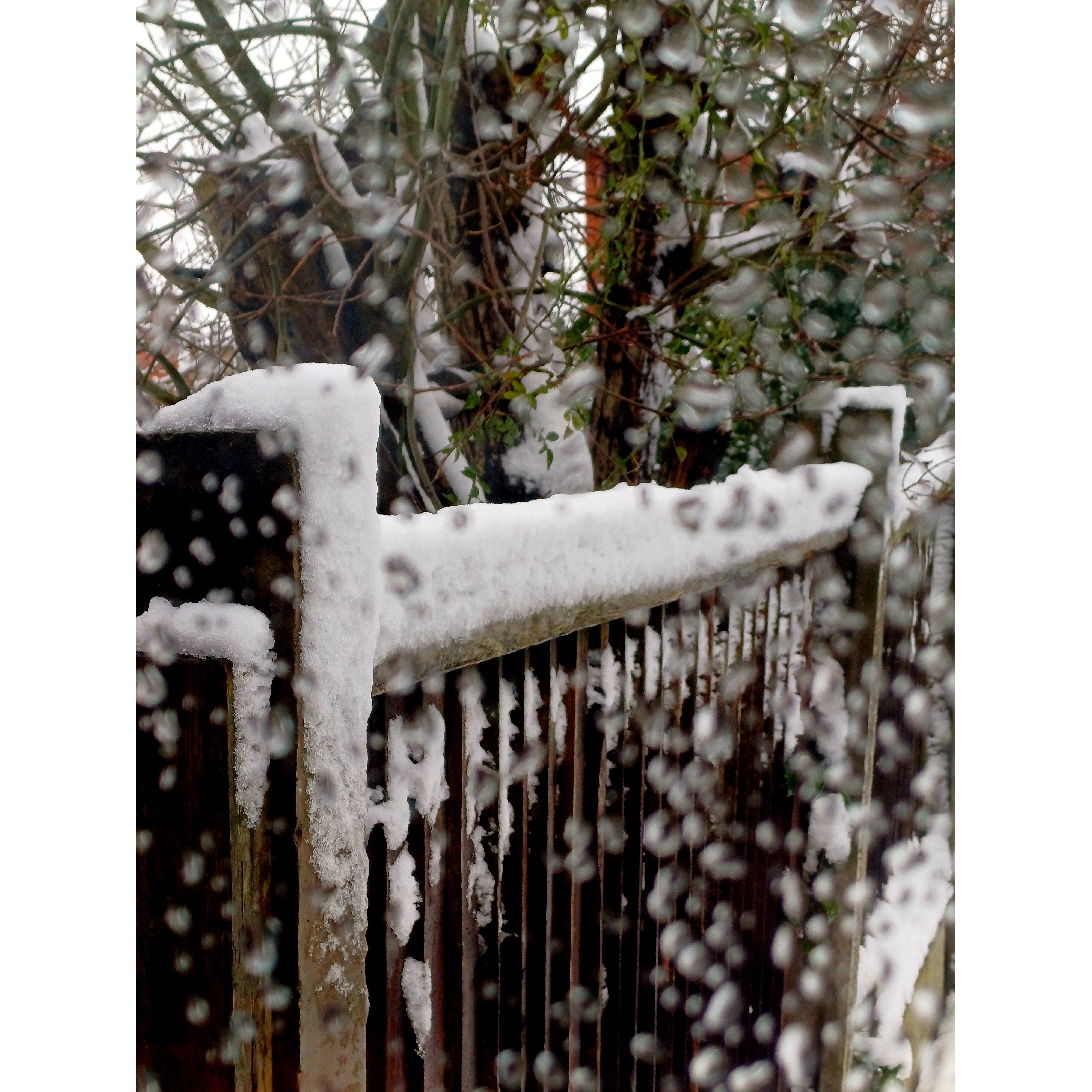 A Cozy, Snowy Sunday Vibe