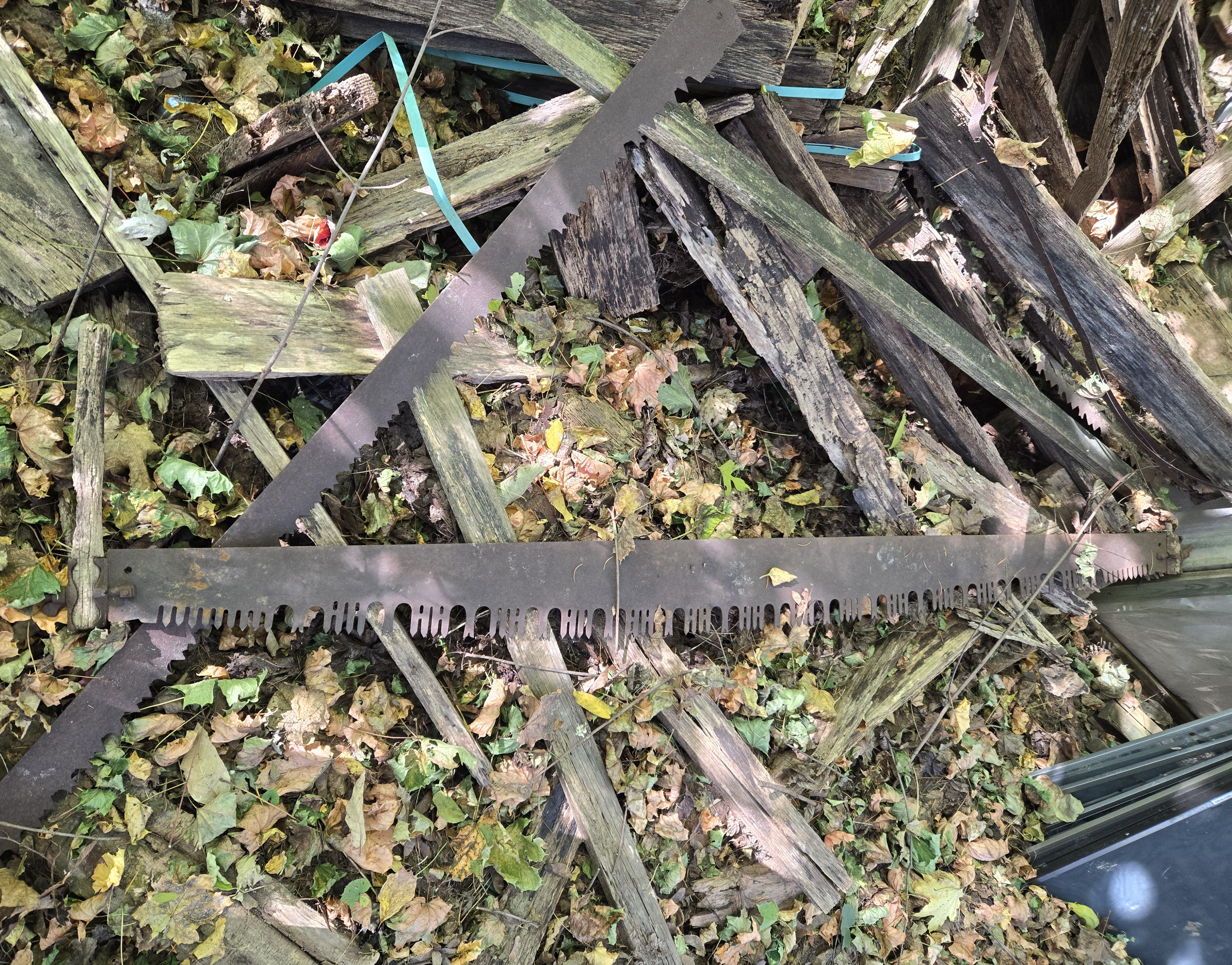 Are These Vintage Tree Saws from the Past?