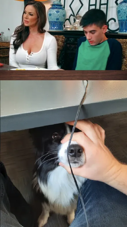 Bonk! Now keep scrolling, nothing to see here.