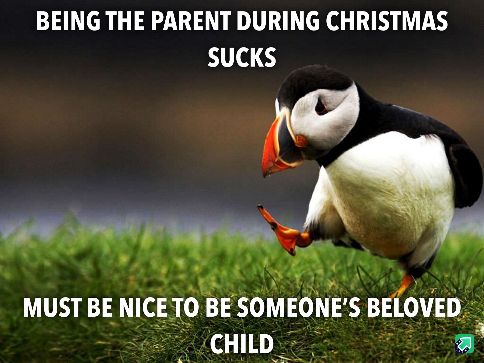 Confessions of a Christmas Grinch