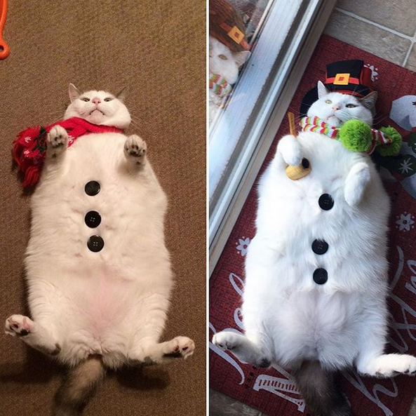 Check Me Out! I'm a Snowman!