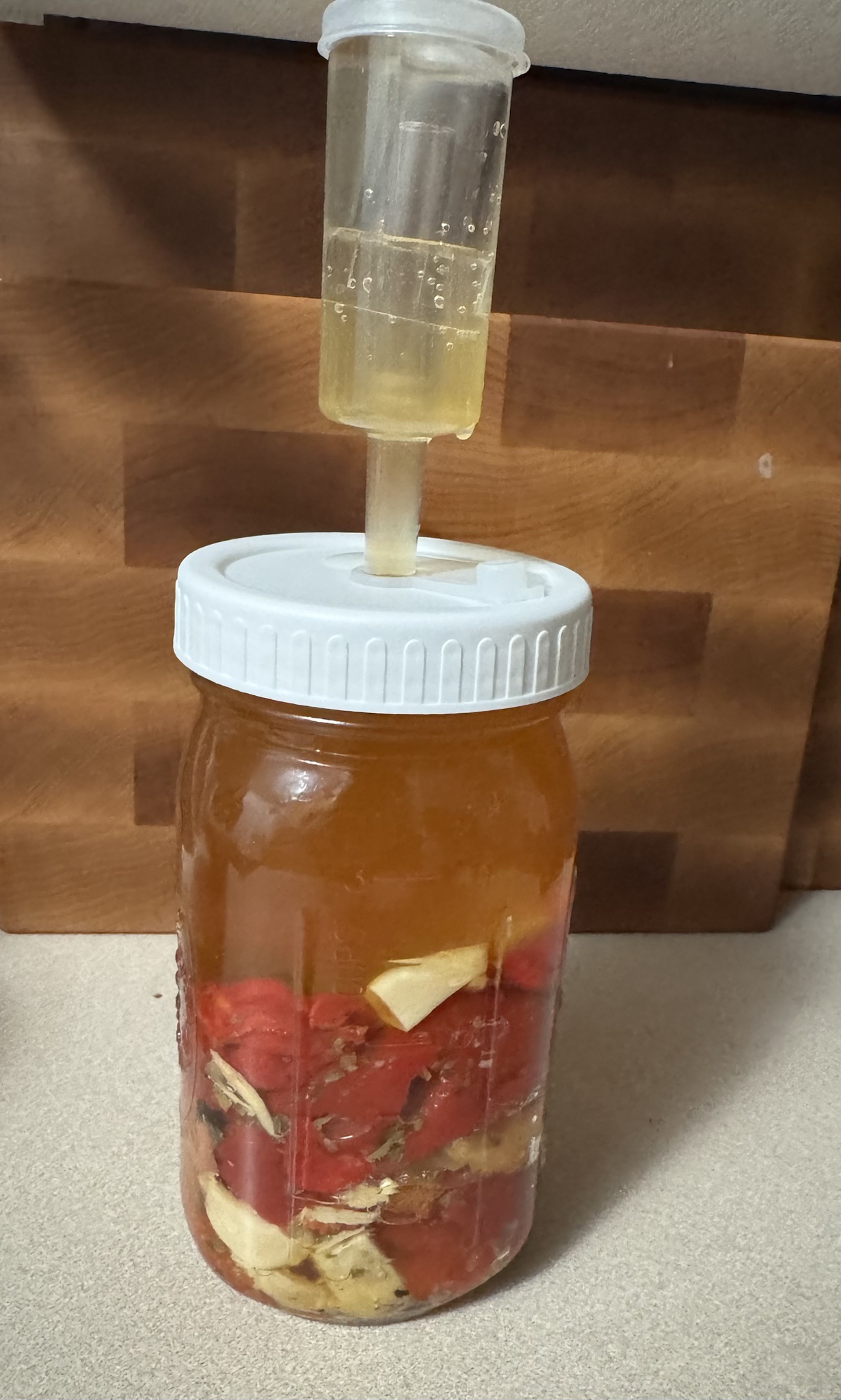 Surviving Day 5 with Fermented Carolina Reaper Hot Sauce