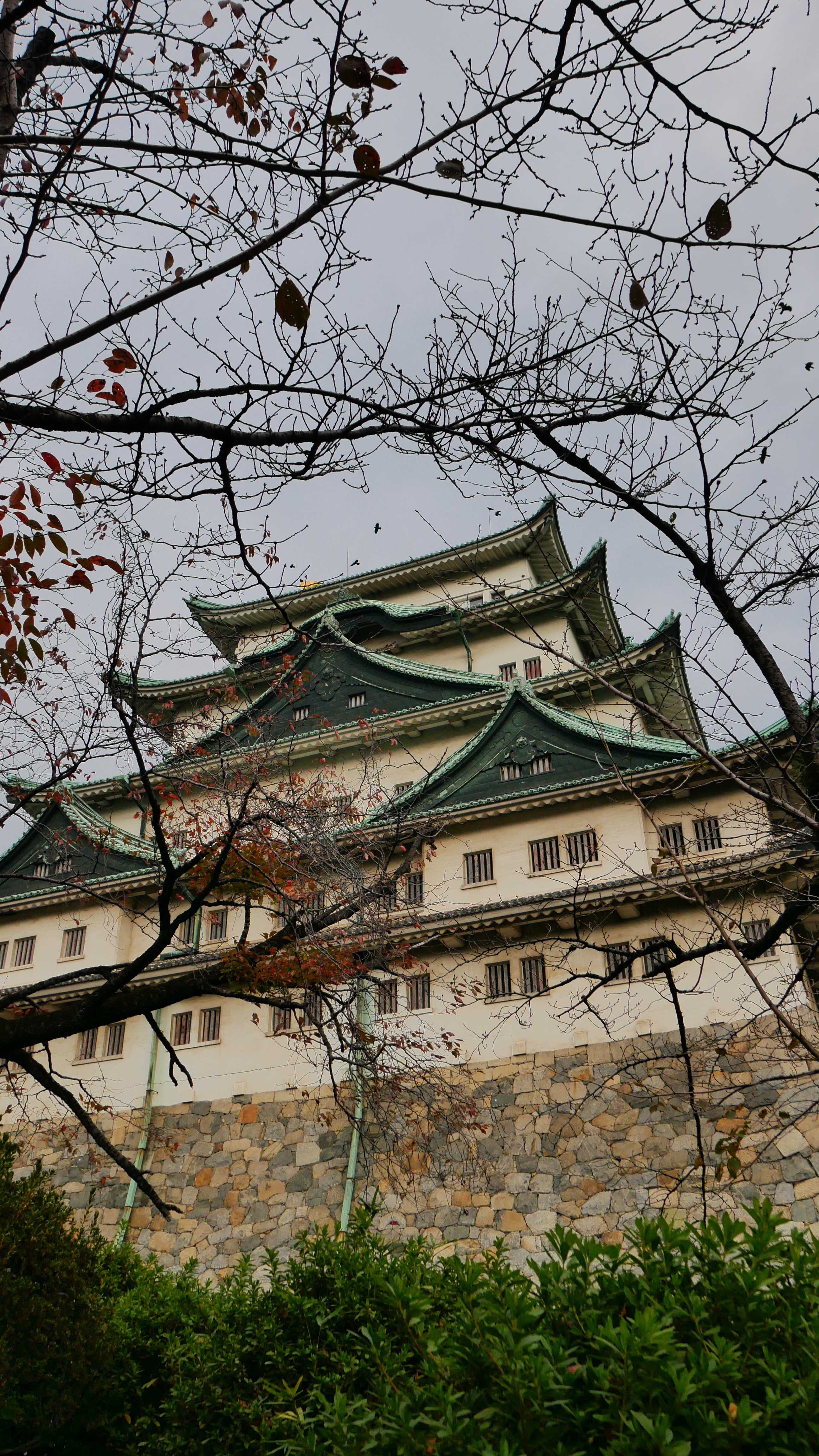 Experiencing the breathtaking beauty of fall in Japan.