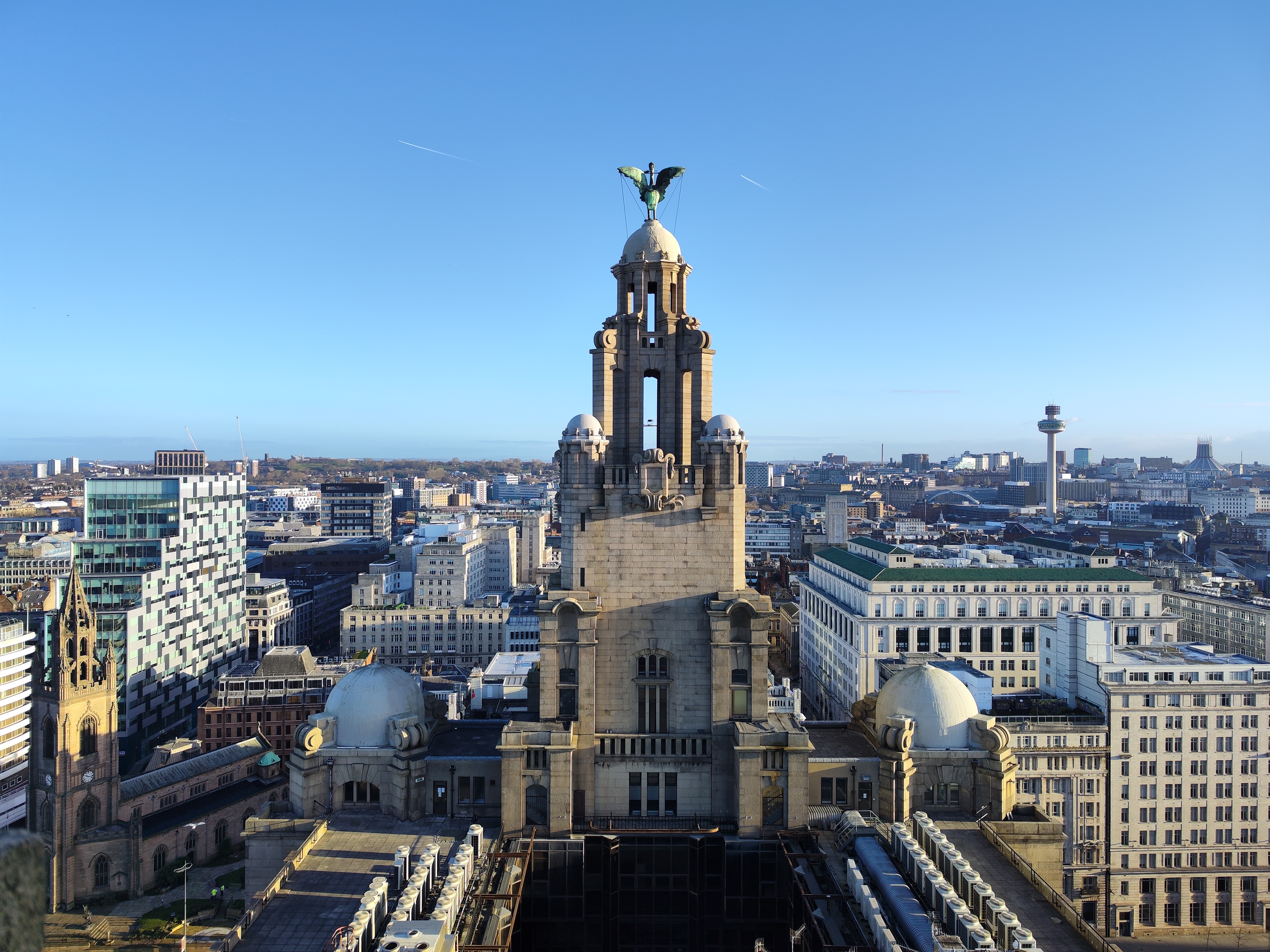 Bertie: One of Liverpool's Iconic Liver Birds