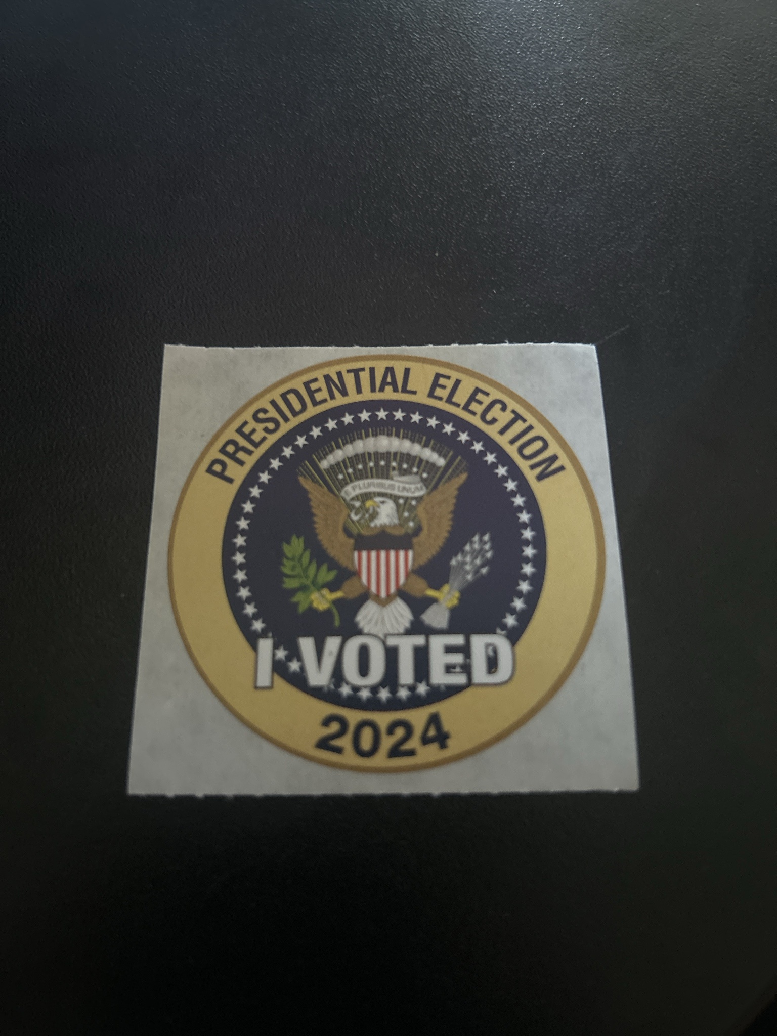 I Made My Voice Count: I Voted!