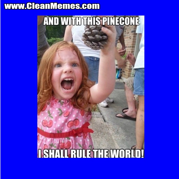 Pinecones Coming Together for a Cause!