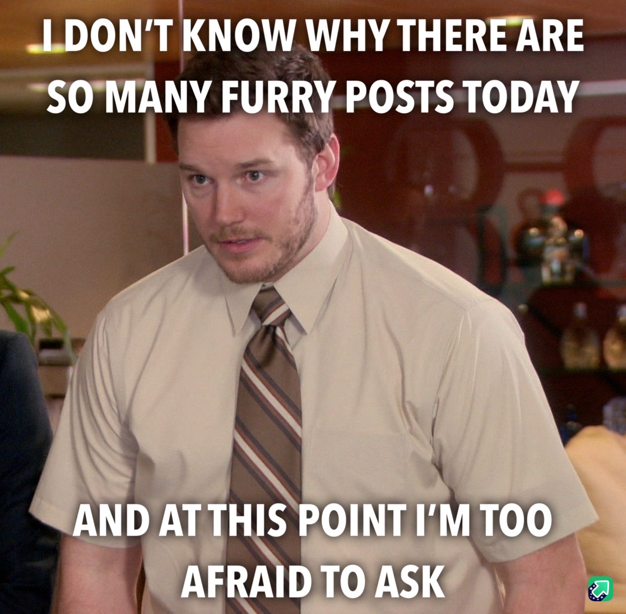 They seem to be everywhere!