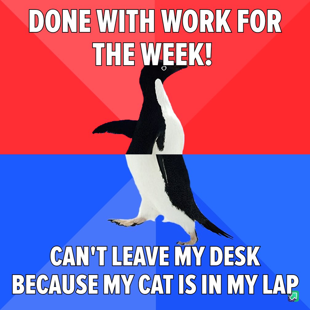 It's the Weekend! Well, Sort Of...