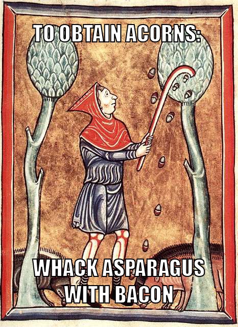 Throwback to the 12th Century Acorn