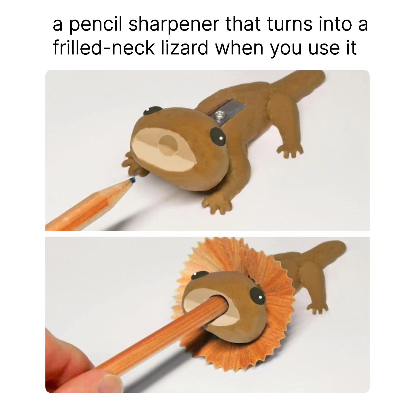 The humble pencil sharpener: a true unsung hero