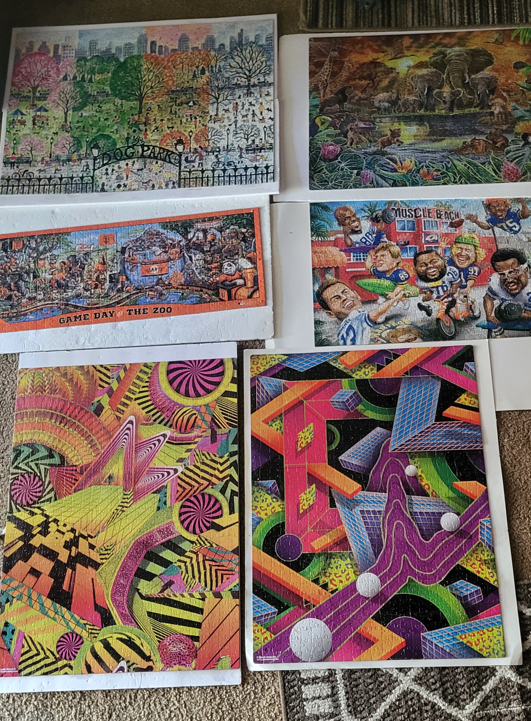 As a wise lady over 50, my son keeps my mind sharp with puzzles. Here are the ones I've completed in the last two months. Lol!