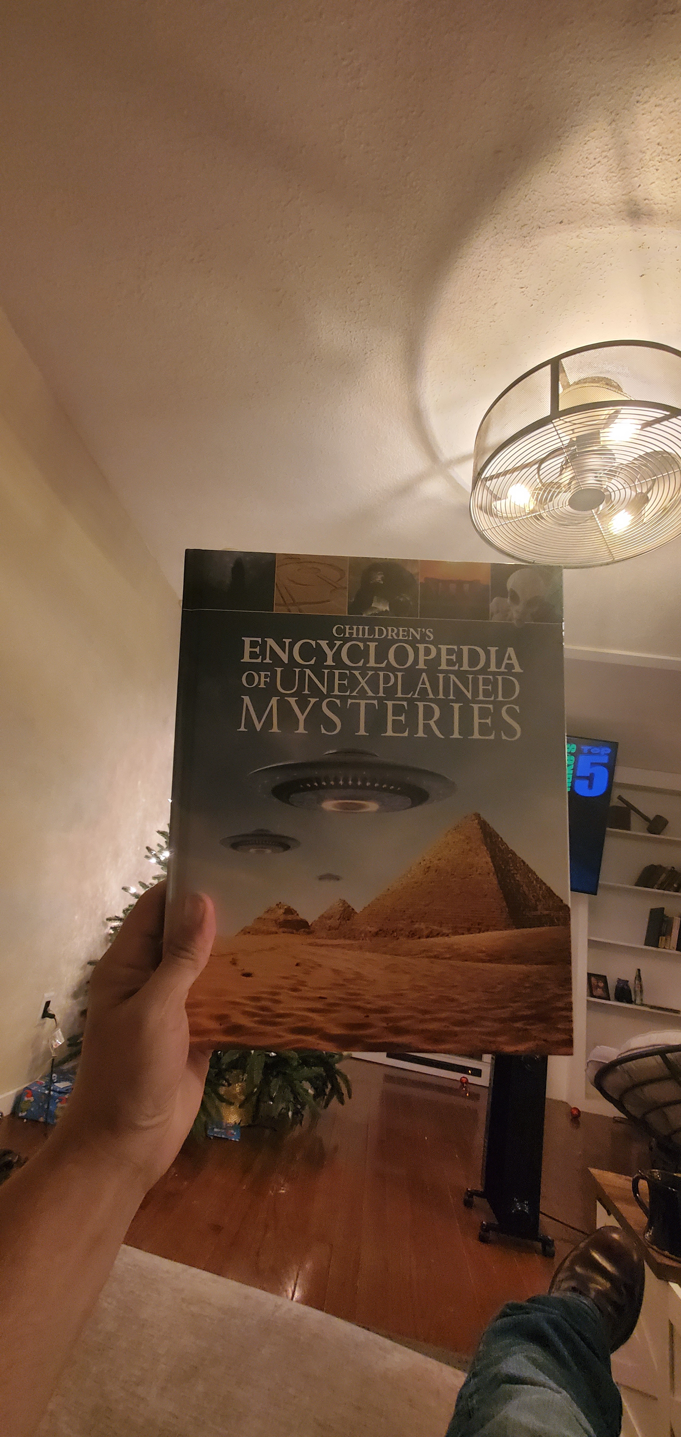 Just a bit of light reading, nothing serious