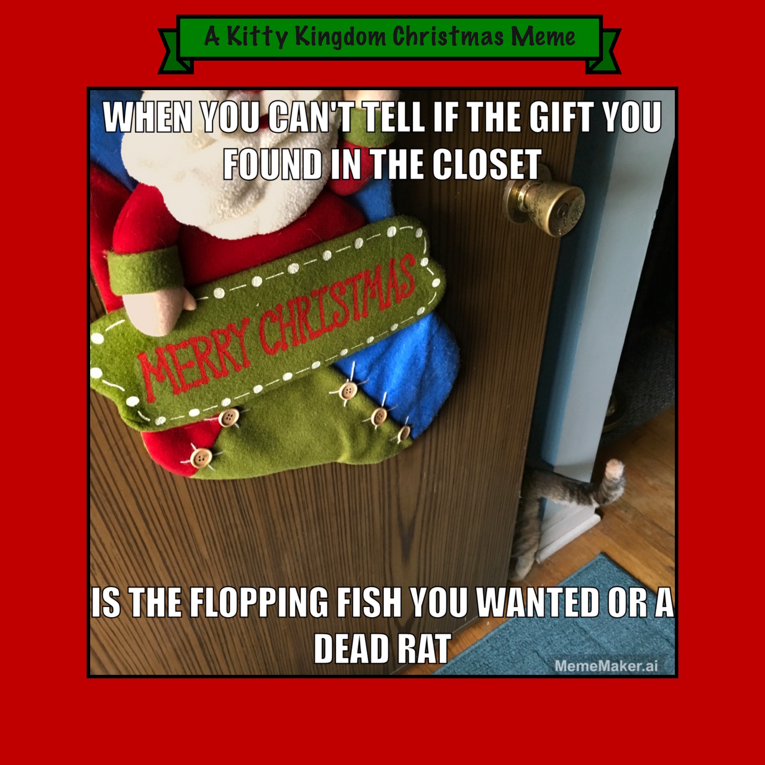 Countdown to Christmas in the Kitty Kingdom: Day 3