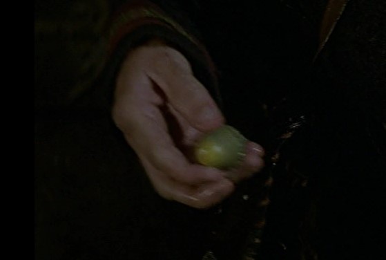 Willow casts a spell with Magic Acorn!