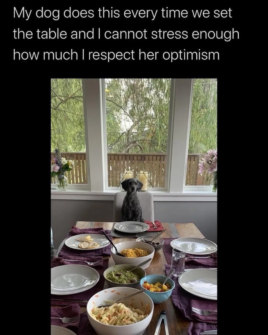 Hope always finds a way to shine through...