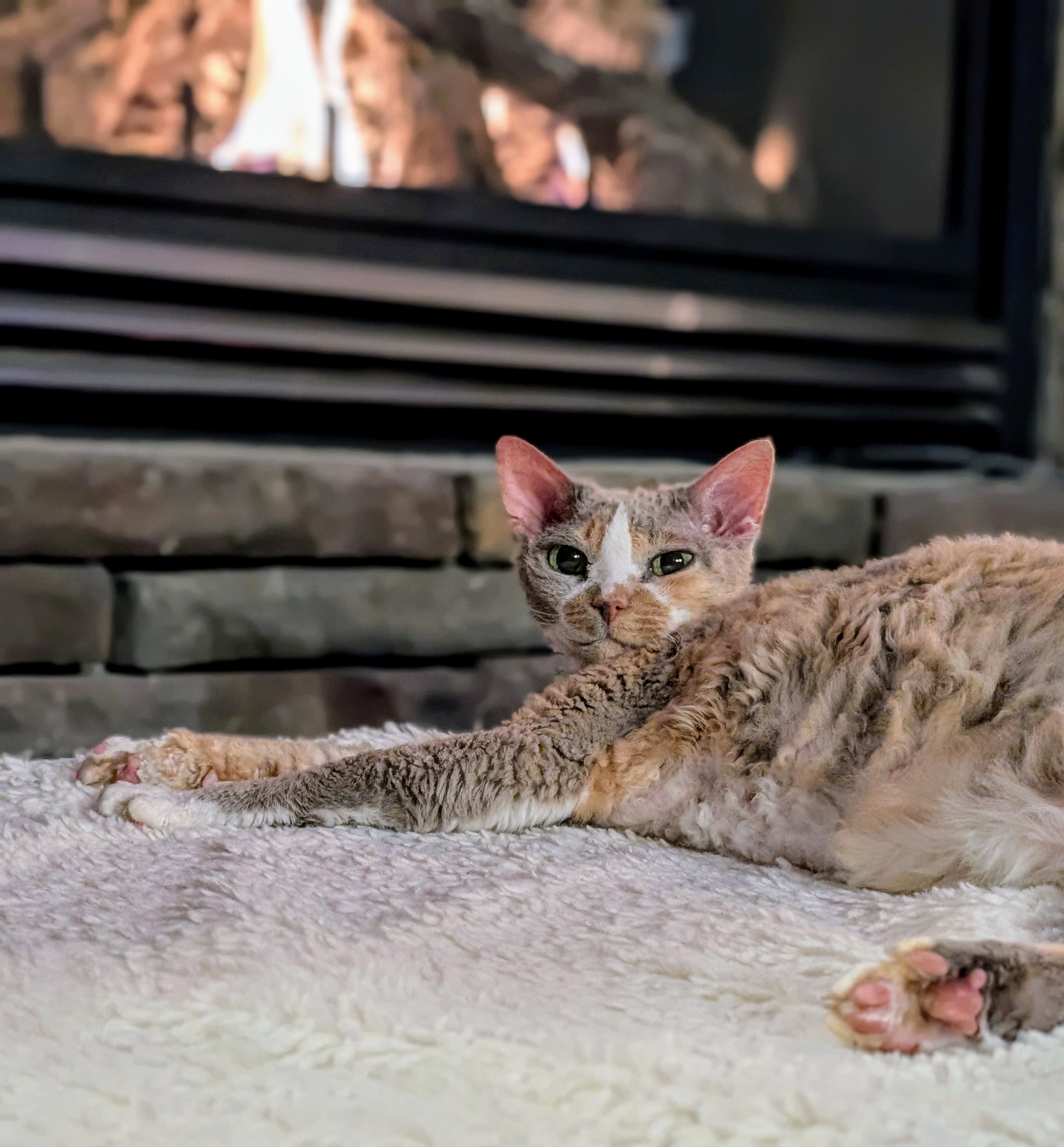 Cozy Moments by the Fireplace