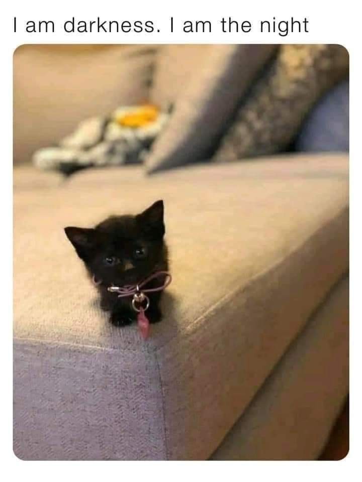 Tiny but Mighty