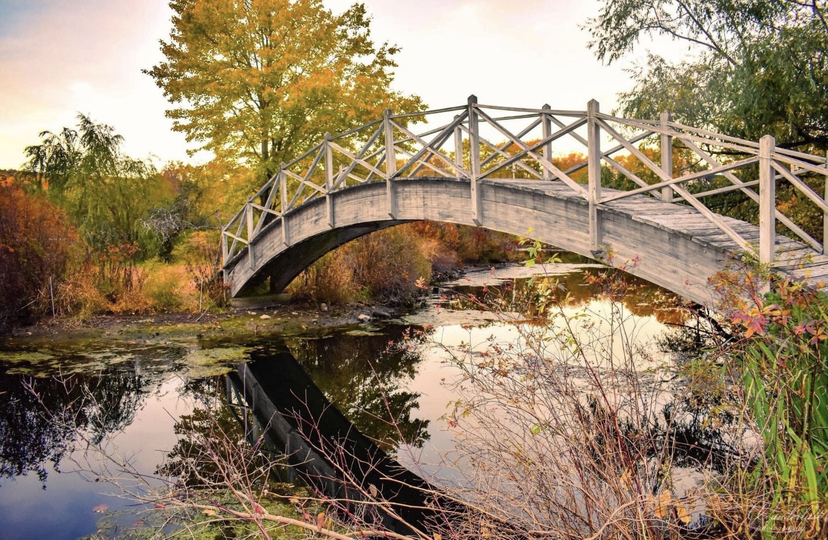 The Bridge: A Classic Structure!