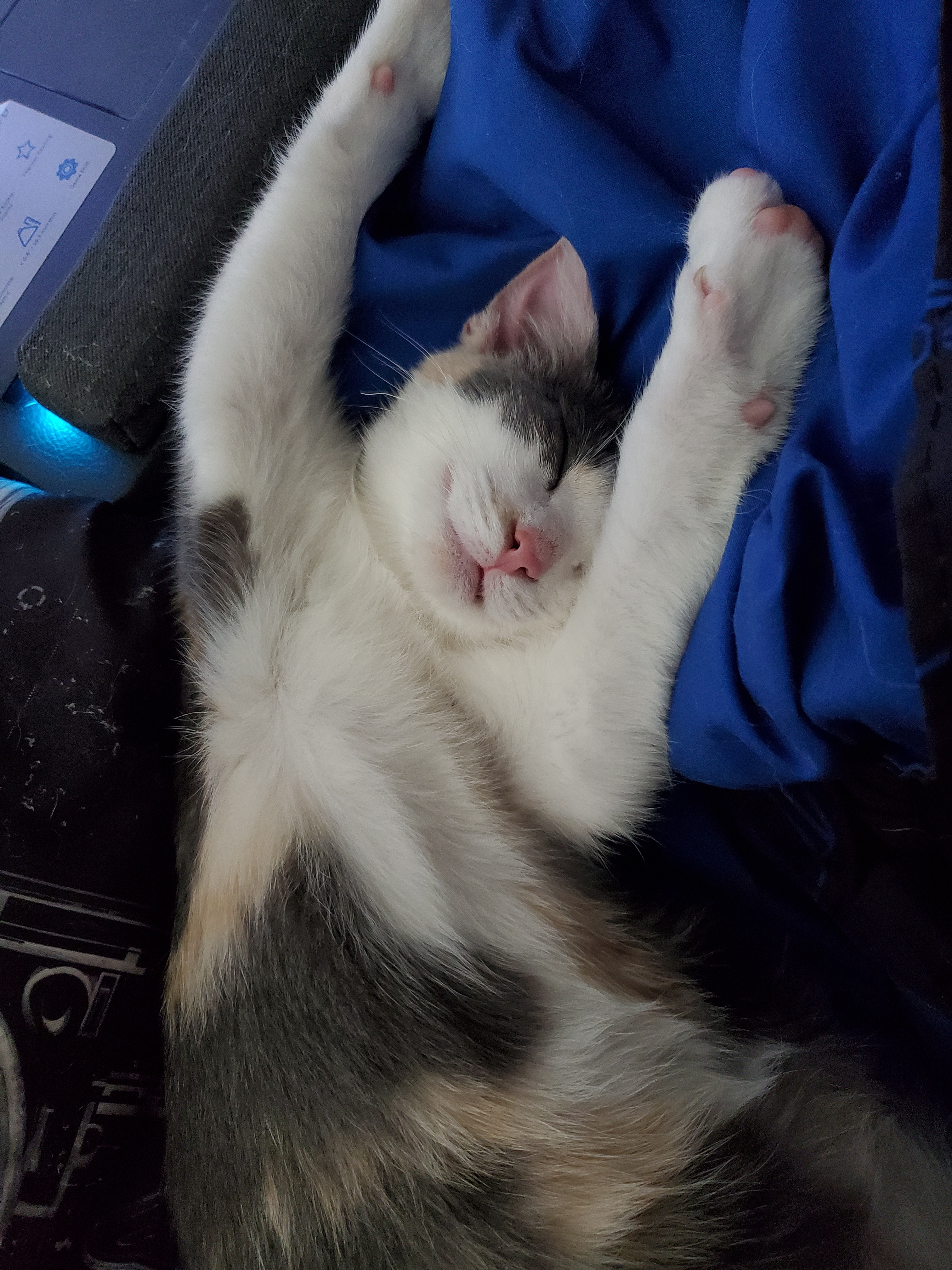 Jasmne Has Found Her Perfect Cozy Nook