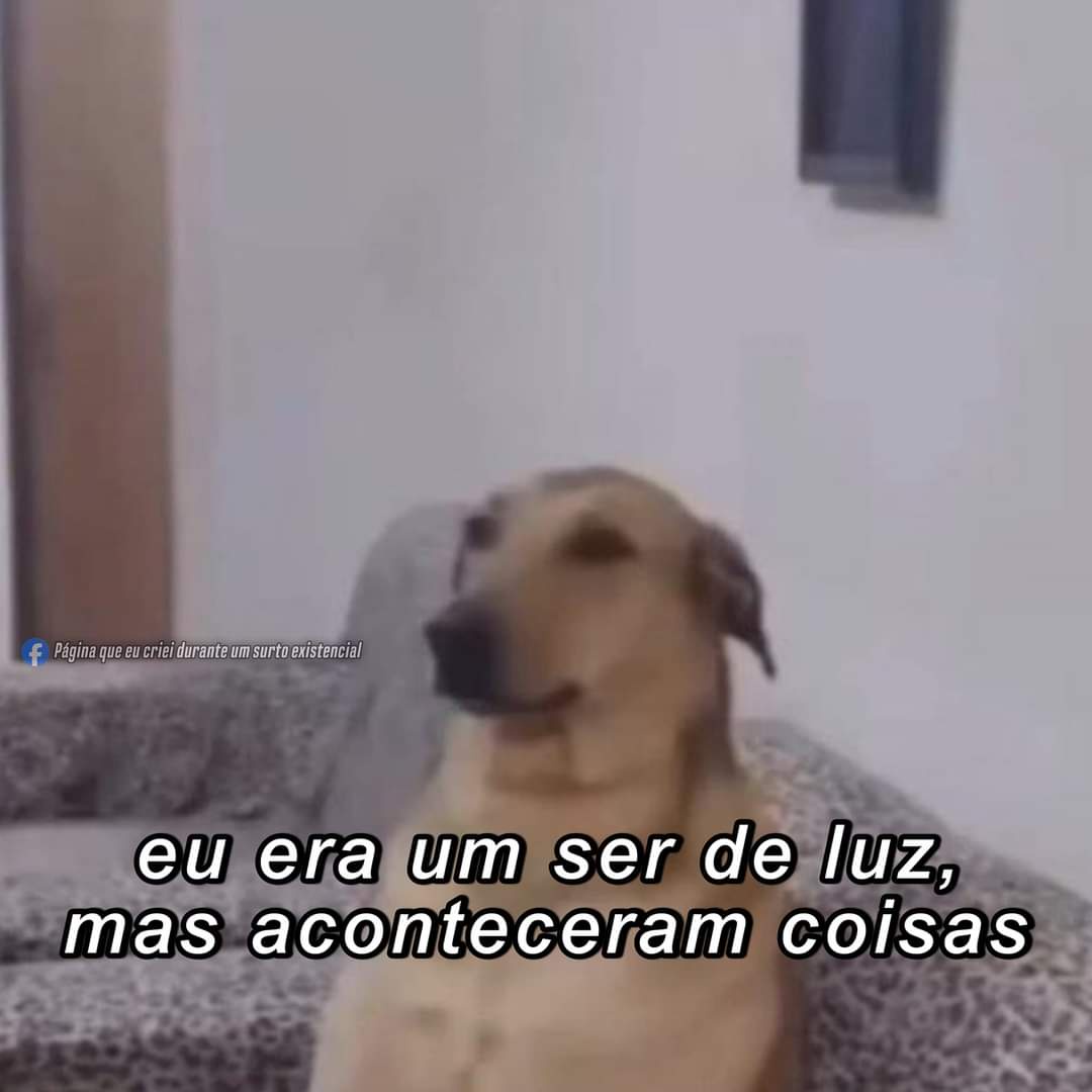 Caramelo the Philosophical Dog