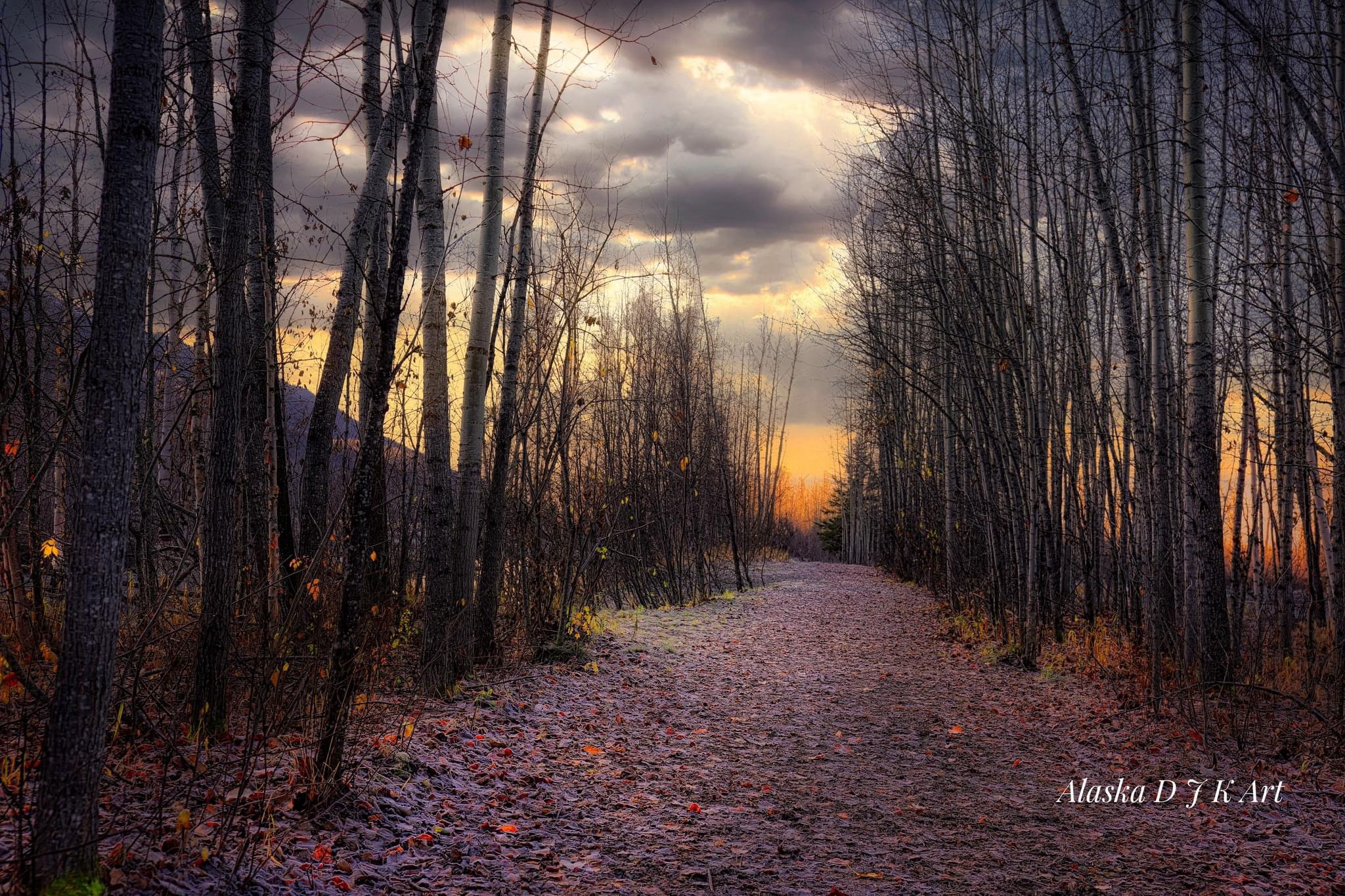 Breathtaking Views of Alaska's Natural Beauty