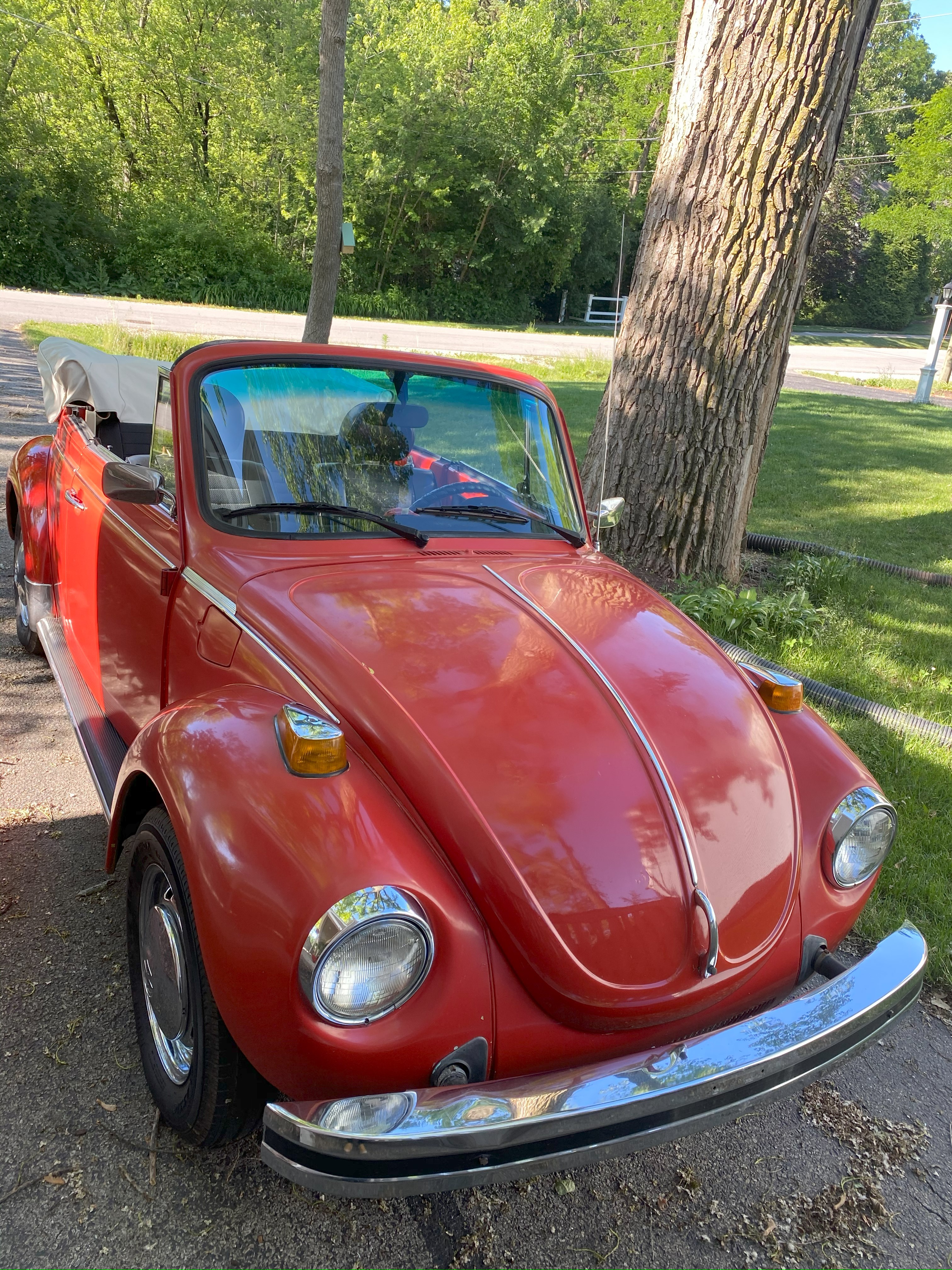 Meet My 1979 VW Superbeetle: The Lady Bug