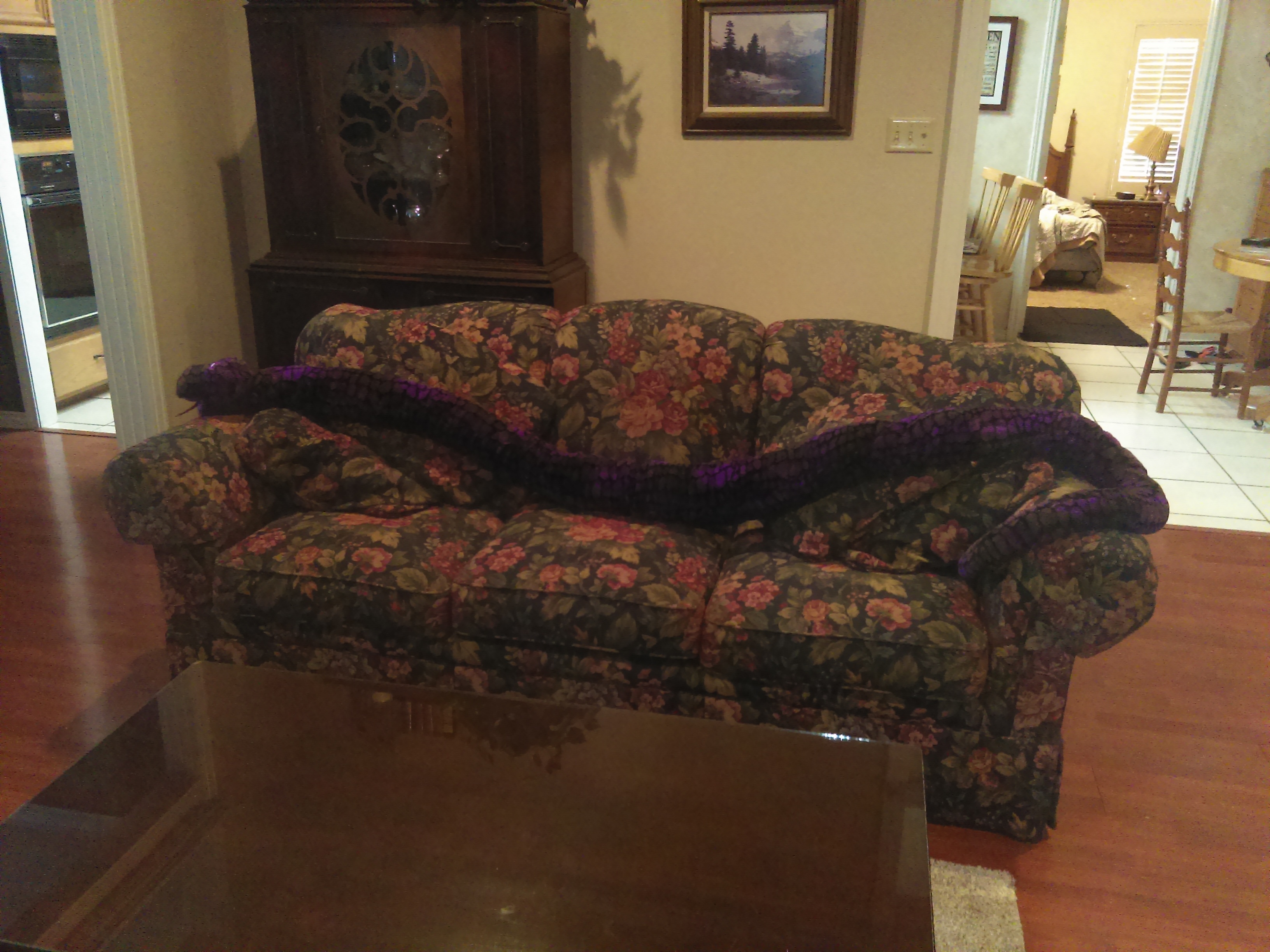 Check Out This Epic 15-Foot Long Snake Plushie!