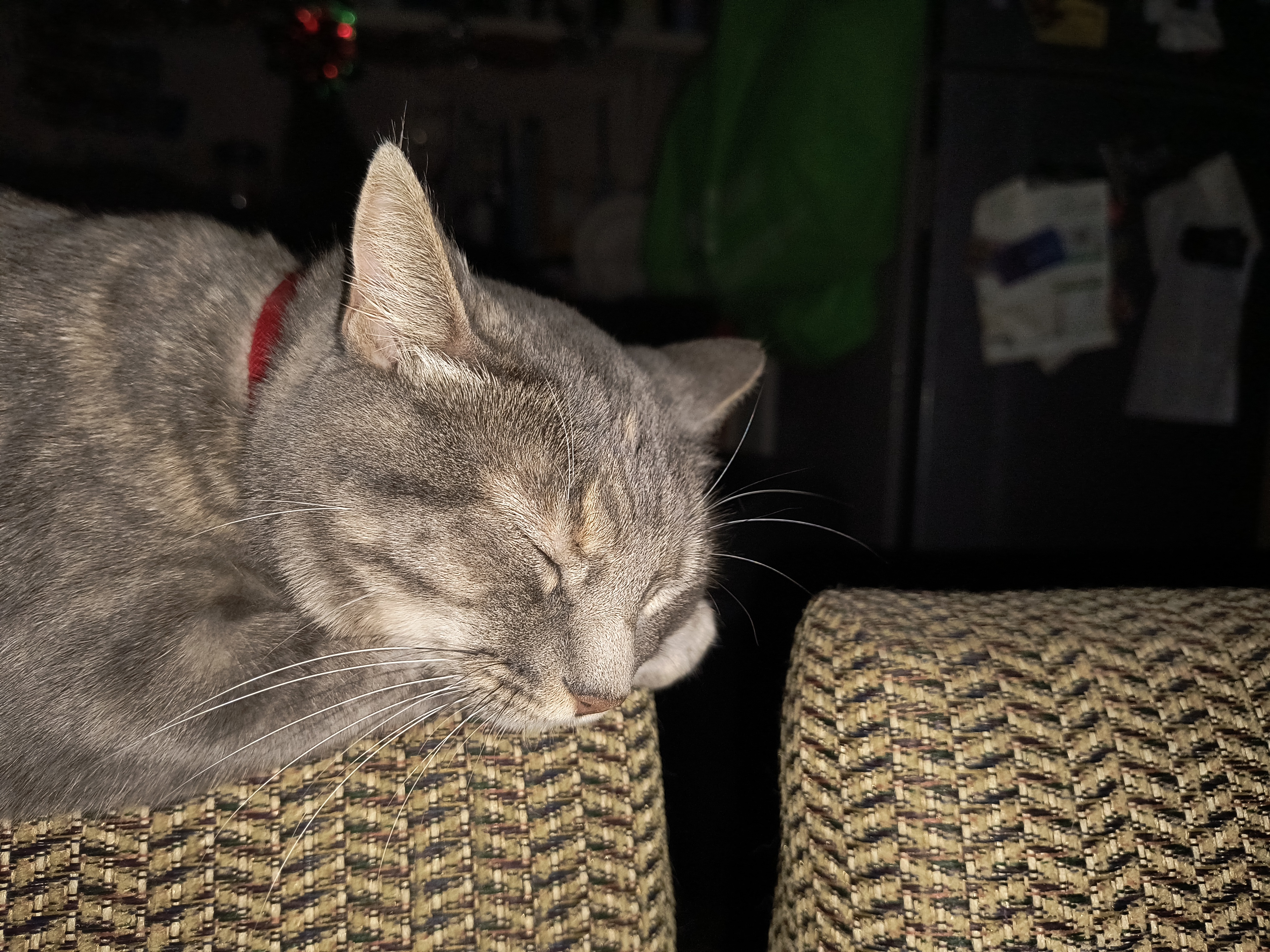 Kikis: A Delightful Exploration