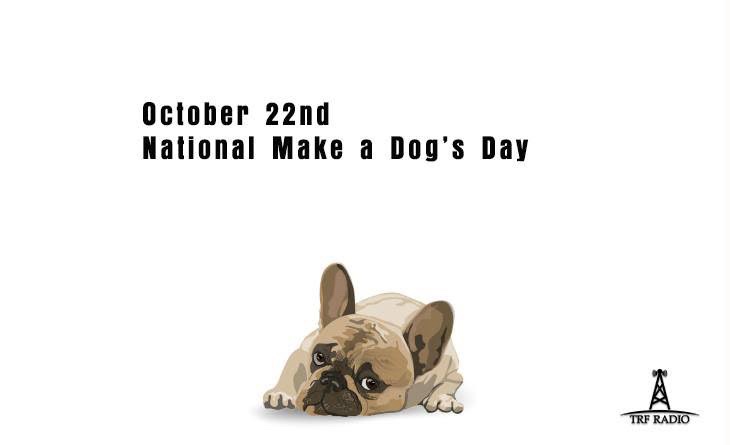 October 22: A Special Day Dedicated to Our Furry Friends