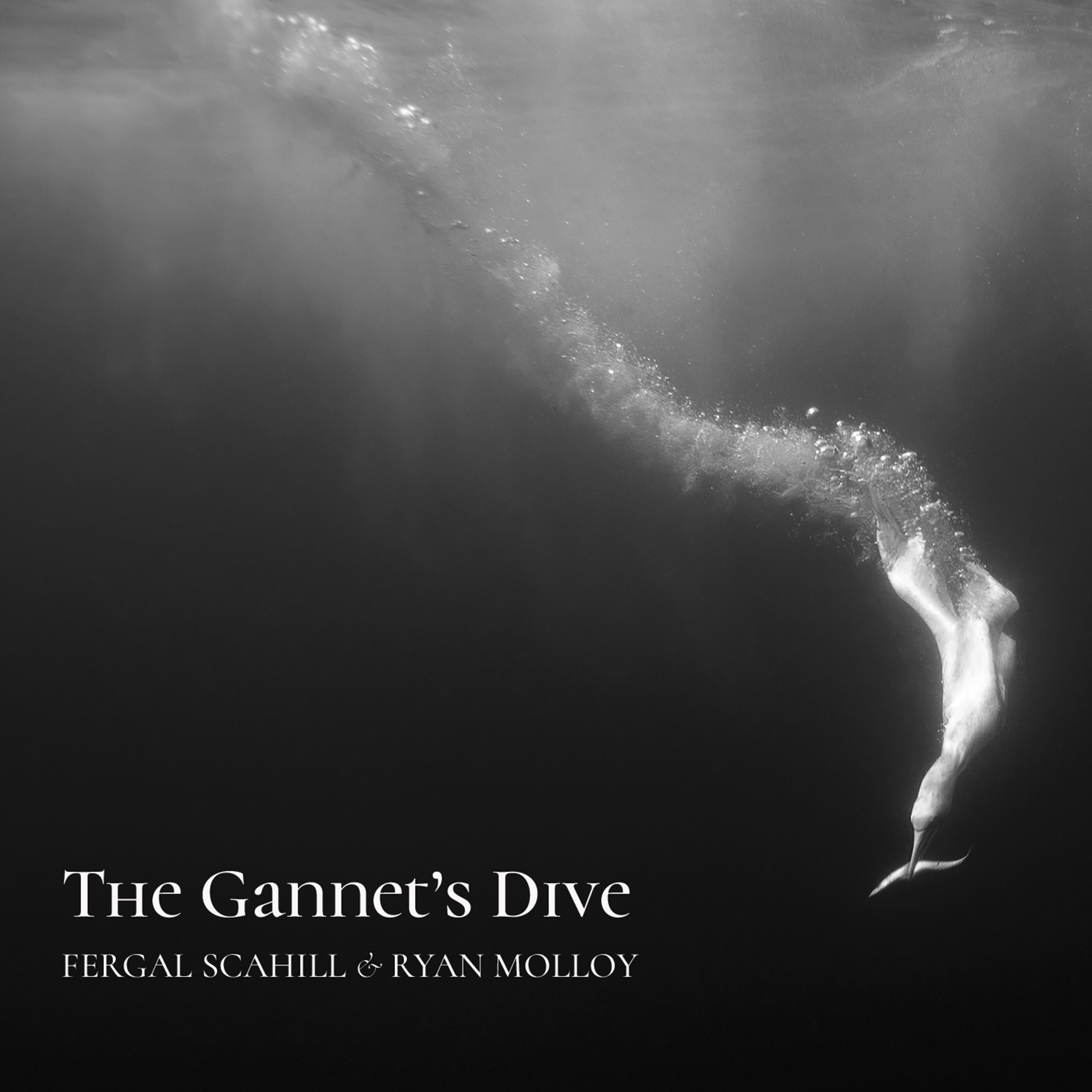 Fergal Scahill and Ryan Molloy Present: The Gannet's Dive - CD Cover Art