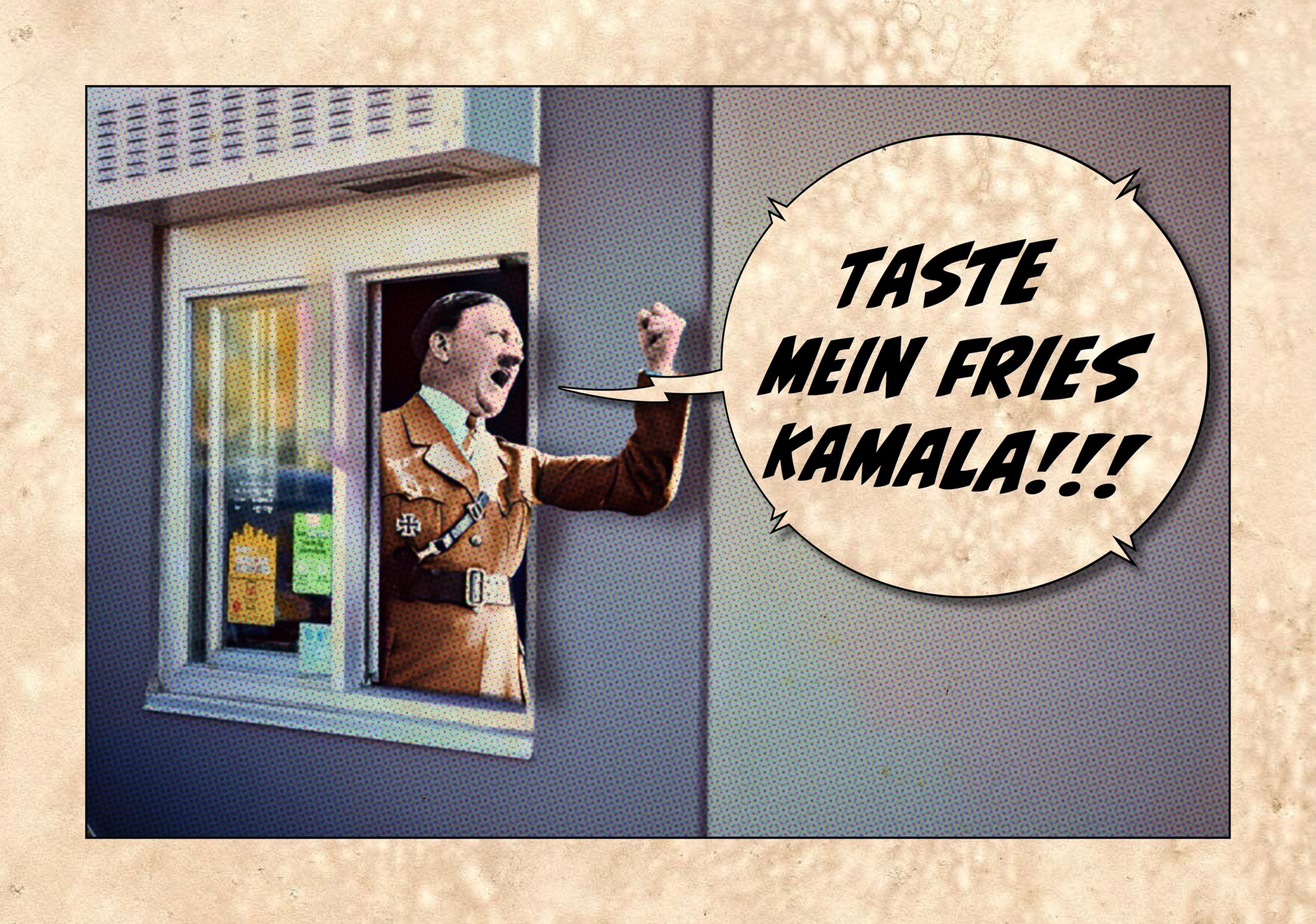 Introducing MEIN FRIES: A Culinary Delight