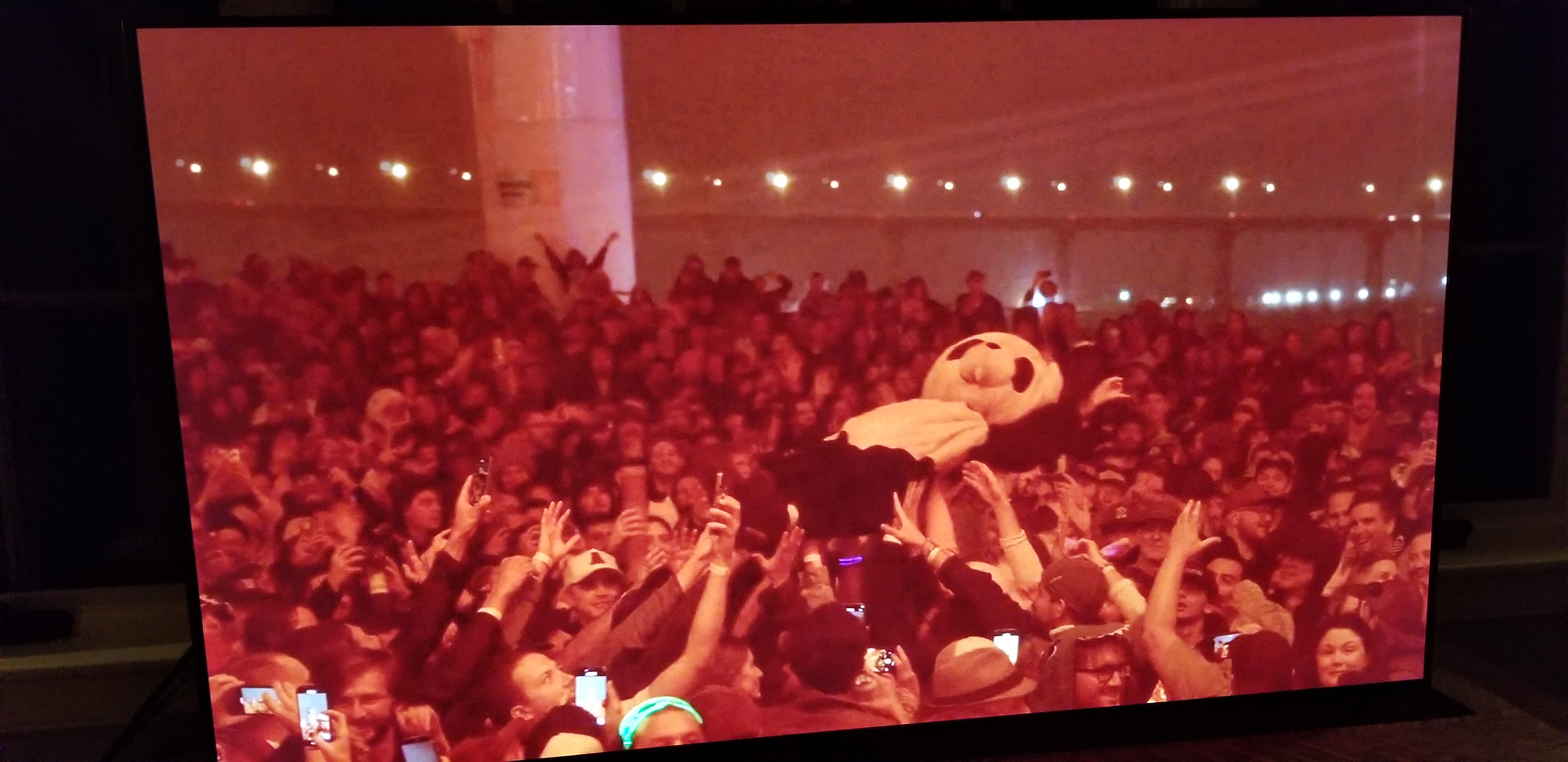 The Legendary Panda: A Moment to Remember from King Gizzard's Acoustic Show
