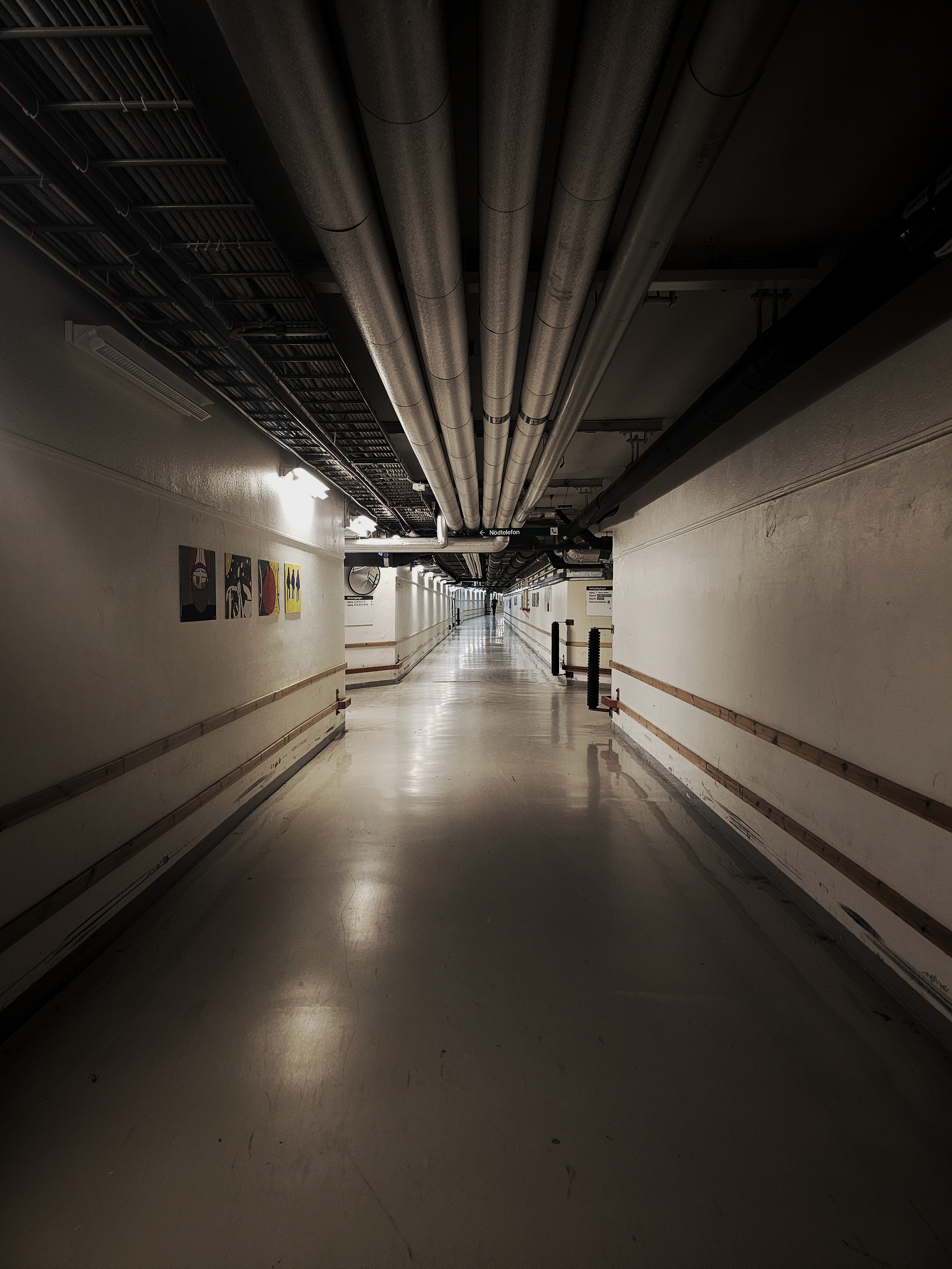 A Glimpse Inside the Hospital: What You Might Not Expect