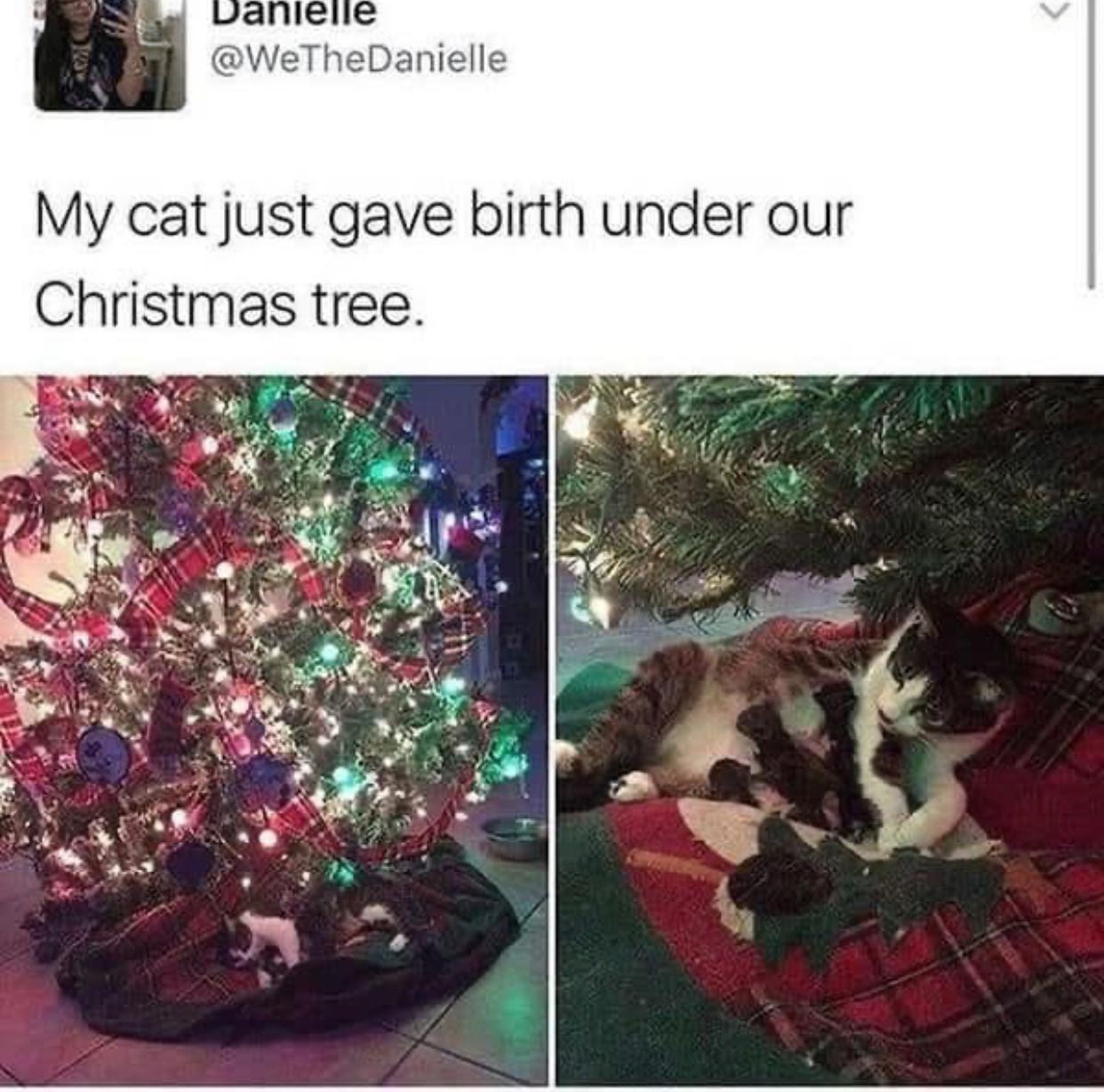 This brought a smile to my face today! <3