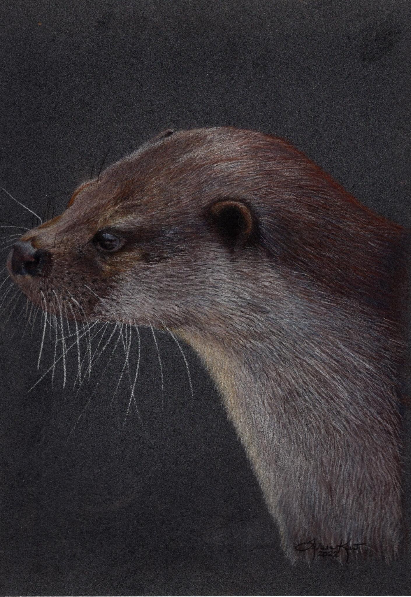 Adorable Otter Moments That Will Melt Your Heart