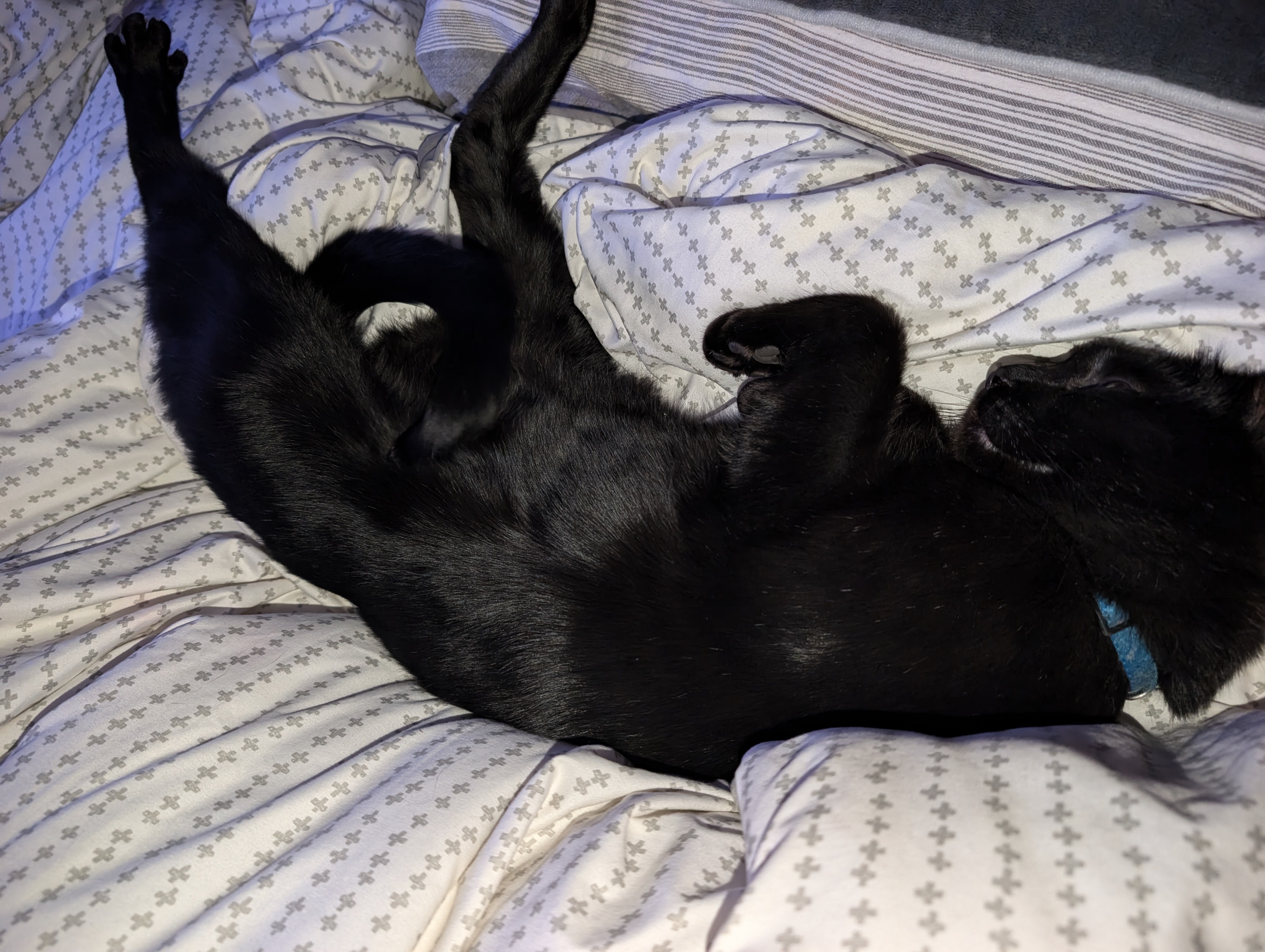 The Comfort of a King-Size Bed
