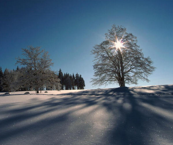 The Enigmatic Shadow: A Study in Light and Dark