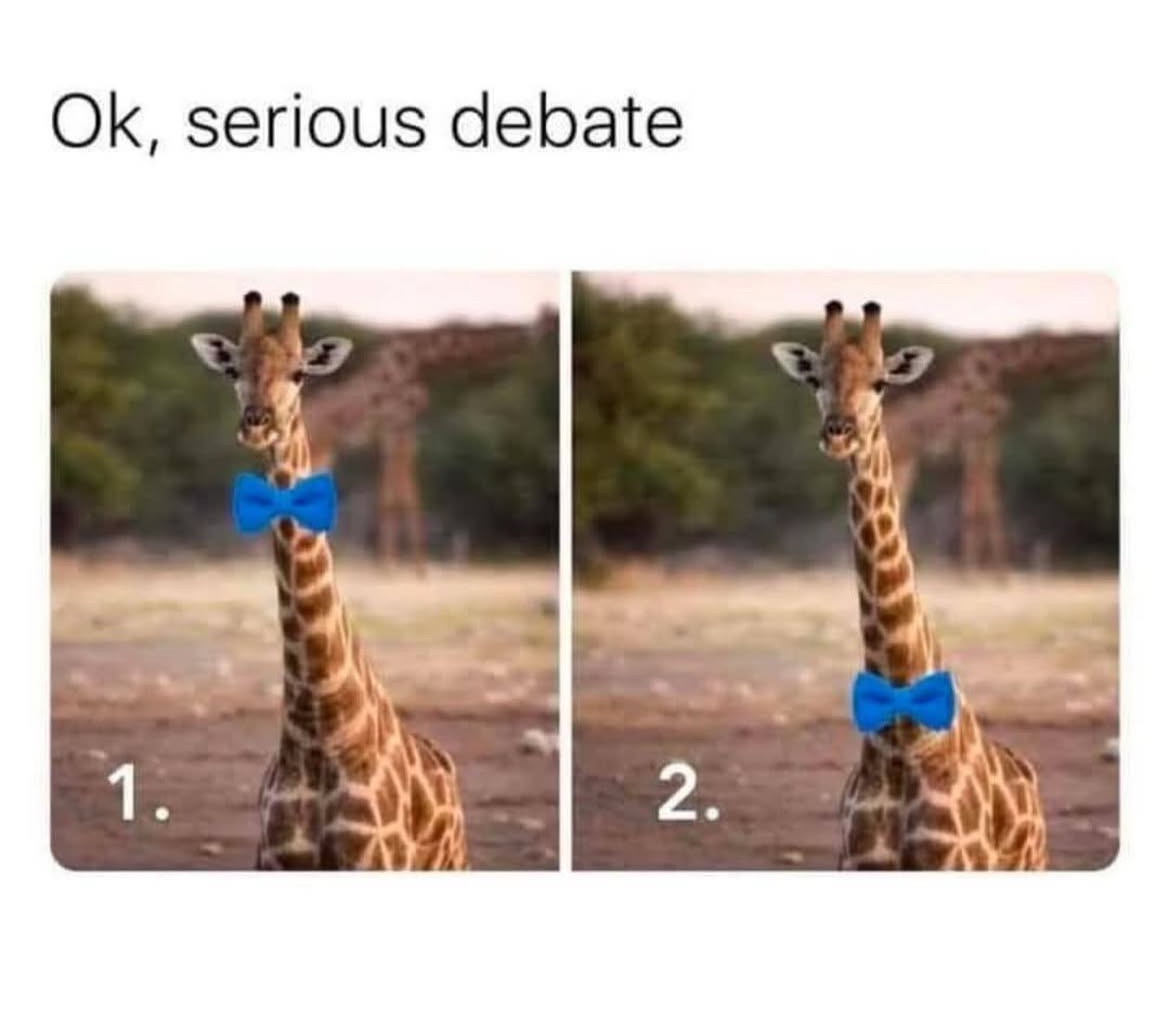 Which one should we choose?